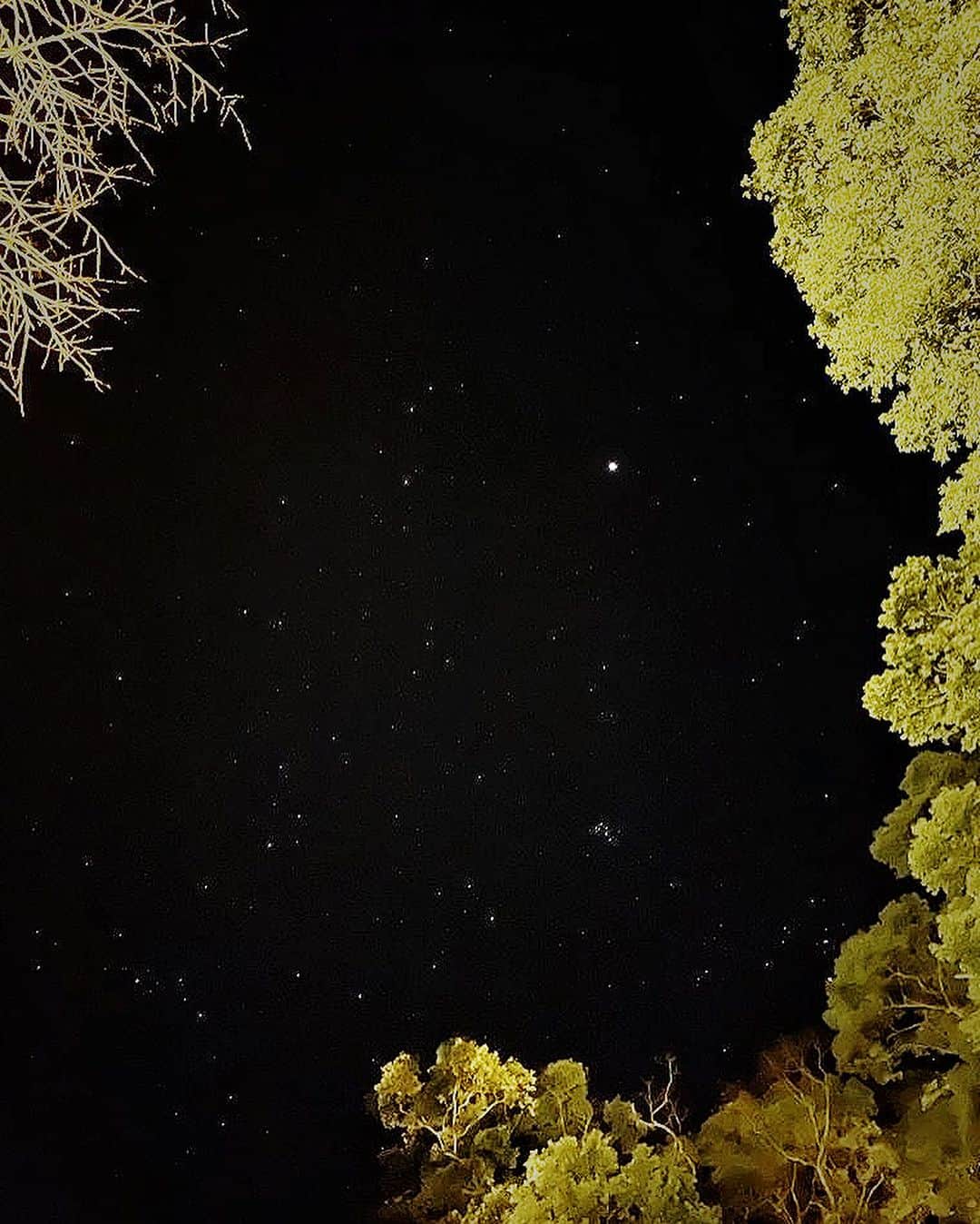 ヒビ・ティエンのインスタグラム：「🧘🏻⭐️🌙☀️✨ 週末參加了三天兩夜的立冬阿育吠陀瑜珈僻靜營  在網路上看到了推廣文，單憑幾個入眼的「阿育吠陀」、「瑜珈」、「僻靜」、「醺臍」（這輩子沒醺過那神秘的生命黑洞，很是好奇啊！）、「備受好評的素食」、「冥想」幾個關鍵字；又自視參加過十日內觀課程，把自己丟進陌生人群與陌生環境共處一室好幾日，應該不成問題，而且還有冥想瑜珈習慣的好表妹作陪，就手滑報名了。  一時幾乎忘了這個僻靜營非禁語，而且是同時與手機、網路共存的環境。報名後曾經一度猶豫後悔，但覺得應該是腦袋只想待在舒適圈的膽怯又再作祟，於是回頭選擇相信自己第一時間，心的第一直覺。  進營隊首要令人驚恐的就是自我介紹，一個站在舞台上唱歌的人，說自己有社交恐懼，我想說破嘴也不會有人能相信理解，只好硬著頭皮，假裝輕鬆落落大方地介紹自己。心想如果希望旁人能放鬆，自己就要先釋放出鬆弛感。不知道我的鬆弛感演得到不到位，策略是否奏效，但很快的就獲得大家一視同仁自然地互動對待，讓誤入叢林的老白兔我感激涕零啊！（後來才知道僻靜營的同學們都是老師瑜珈課的學生，彼此互相熟識。）  僻靜營每位同學的質地或許相異，但相同的是每個人都讓我感覺年輕有為，卻對自我完成、自我探索甚有要求，而不斷地想精進自己。這樣的他們很可愛，很可以被愛，也值得被愛。  我在每個同學、甚至老師身上都能投射看到自己局部的影子。我們是那麼不同的人，卻偶有相同的快樂、恐懼與苛刻自己的模樣。  課程結束前，我很想表達心中有多感謝這些孩子們願意自我探索，而成為我無比清晰一面面的明鏡；也謝謝老師求好心切地想把自己生命軌跡裡已知的、體悟的，與大家分享。  更想謝謝大家送給我這次奢侈珍貴的禮物 -「一視同仁的對待」。  聽到老師和同學們口中馥甄馥甄純粹地叫著我的名字時，我感覺到自己的獨特是因為生命本身，而不是身份。  這幾天被山林環抱，被可愛的善意擁抱。 道別前，其實也好想一一擁抱每位同學，但瞻前顧後的我，又擔心起這樣的行為是不是會造成自己把自己當成主角的觀感，於是作罷。  再見了，可愛的人們！  祝福大家在星空下燃燒的願望都一一實現，且活出星空般無垠的豐盛。」