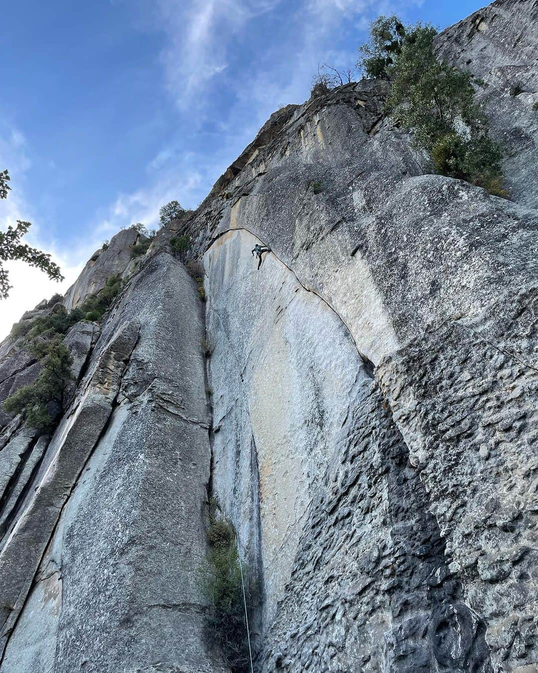 バーバラ・ザンガールのインスタグラム：「A week ago @lewiswu_ came by to climb with us and introduce the new arm heart rate monitor to us. He is not “only” the CEO from @corosglobal he also is a passionated climber! He had a full on two day mission. Checking out meltdown, climbing Crimson Cringe and going up on El Cap with Tommy to climb on the Monster! 🎩 off!!! I think that is pretty cool! (Btw. we found out that climbing Crimson Cringe (single pitch) takes the same training load like running 10k 😂)」