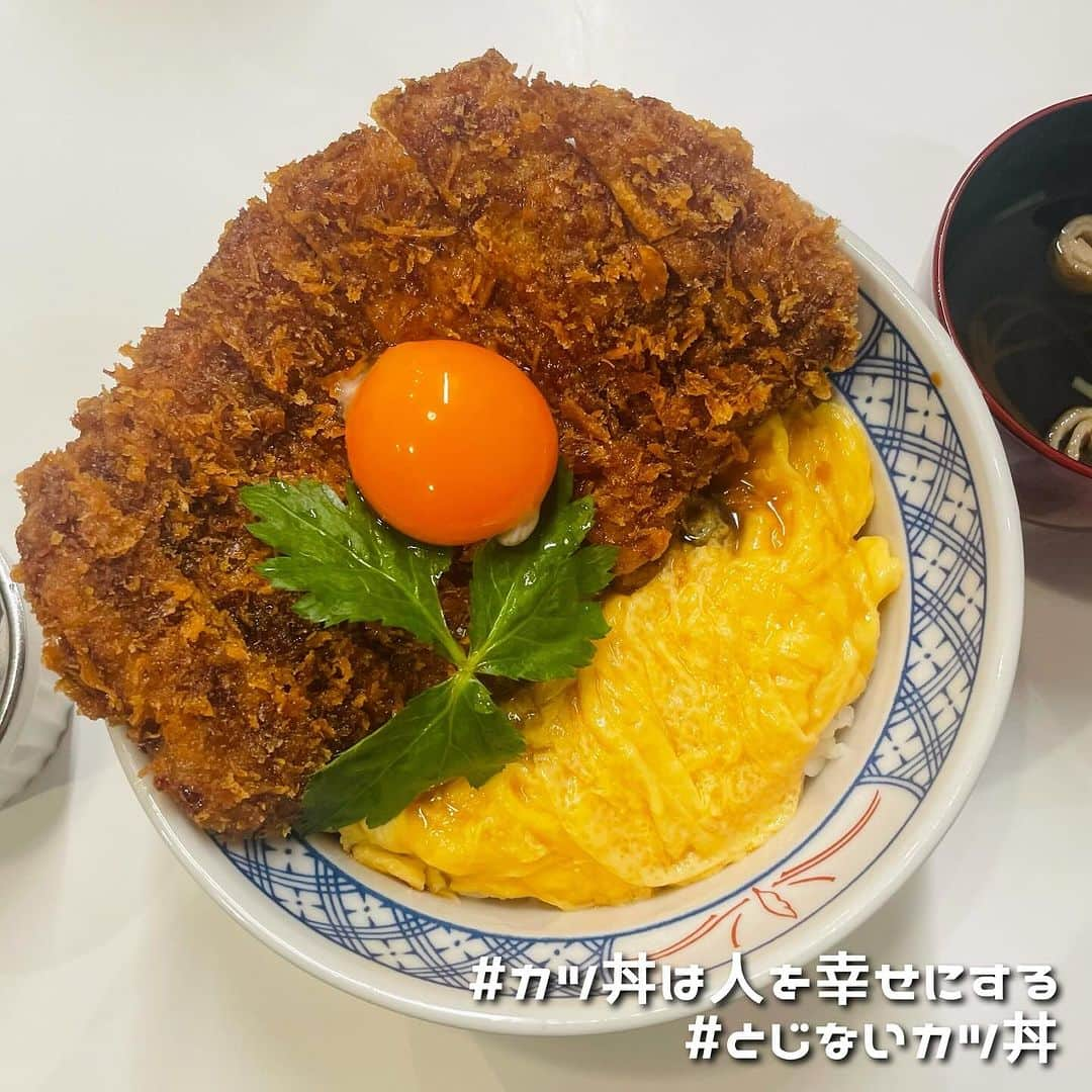 中沢ルイさんのインスタグラム写真 - (中沢ルイInstagram)「最近の美食たち♡  #肉料理kojiro #焼肉房家 #カツ丼は人を幸せにする #とじないカツ丼 #焼肉源 #銀座 #日暮里 #赤坂 #横浜 #中華街 #東京 #焼肉 #グルメ #東京グルメ #銀座グルメ #横浜グルメ #japanesefood #飯テロ #肉食女子 #食べてる時が一番幸せ  #グルメ好きな人と繋がりたい #influencer #instagramers #followme」11月6日 1時51分 - ruinakazawa