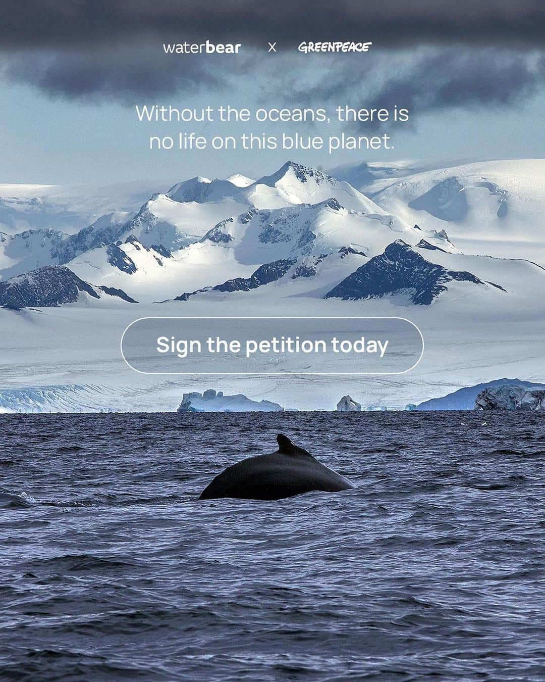 ジョン・コルタジャレナさんのインスタグラム写真 - (ジョン・コルタジャレナInstagram)「Climate breakdown is transforming parts of the Antarctic faster than anywhere else on Earth.  Ocean sanctuaries are a crucial solution to the climate crisis, but currently less than 5% of the Southern Ocean is fully protected.  We call on governments to protect Vulnerable Marine Ecosystems (VME’s) on the Antarctic seafloor and create new global ocean sanctuaries to safeguard our blue planet.  Because without the oceans, there is no life on this blue planet.  Protect the Oceans by signing and sharing the petition at the bio.   #protecttheoceans #protectthearctic #climateaction #greenpeace #waterbear」11月6日 2時04分 - jonkortajarena