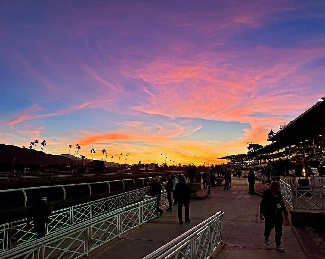 クリストフ・ルメールさんのインスタグラム写真 - (クリストフ・ルメールInstagram)「What a journey it was at @santaanitapark for the @breederscup . Thank you Derma Sotogake for such a performance and thrill in the BCC. Respect to the winning horse and jockey @irad_ortiz  @cl_by_c.lemaire #breederscupclassic #santaanitapark #ルメール #jra #horseracing #jcbriens #dirt #championhorse #lemaire」11月6日 2時22分 - christophelemaire_officiel