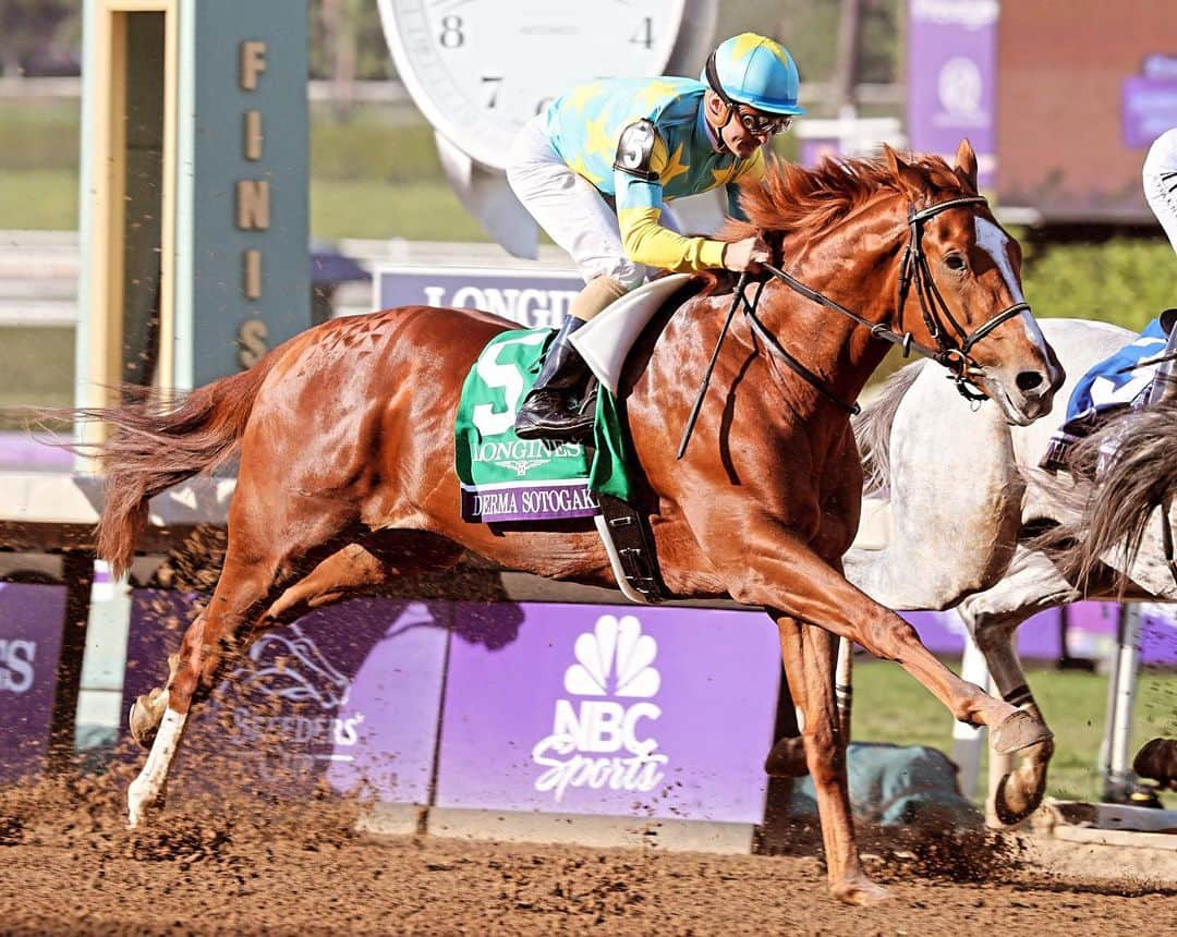 クリストフ・ルメールのインスタグラム：「What a journey it was at @santaanitapark for the @breederscup . Thank you Derma Sotogake for such a performance and thrill in the BCC. Respect to the winning horse and jockey @irad_ortiz  @cl_by_c.lemaire #breederscupclassic #santaanitapark #ルメール #jra #horseracing #jcbriens #dirt #championhorse #lemaire」