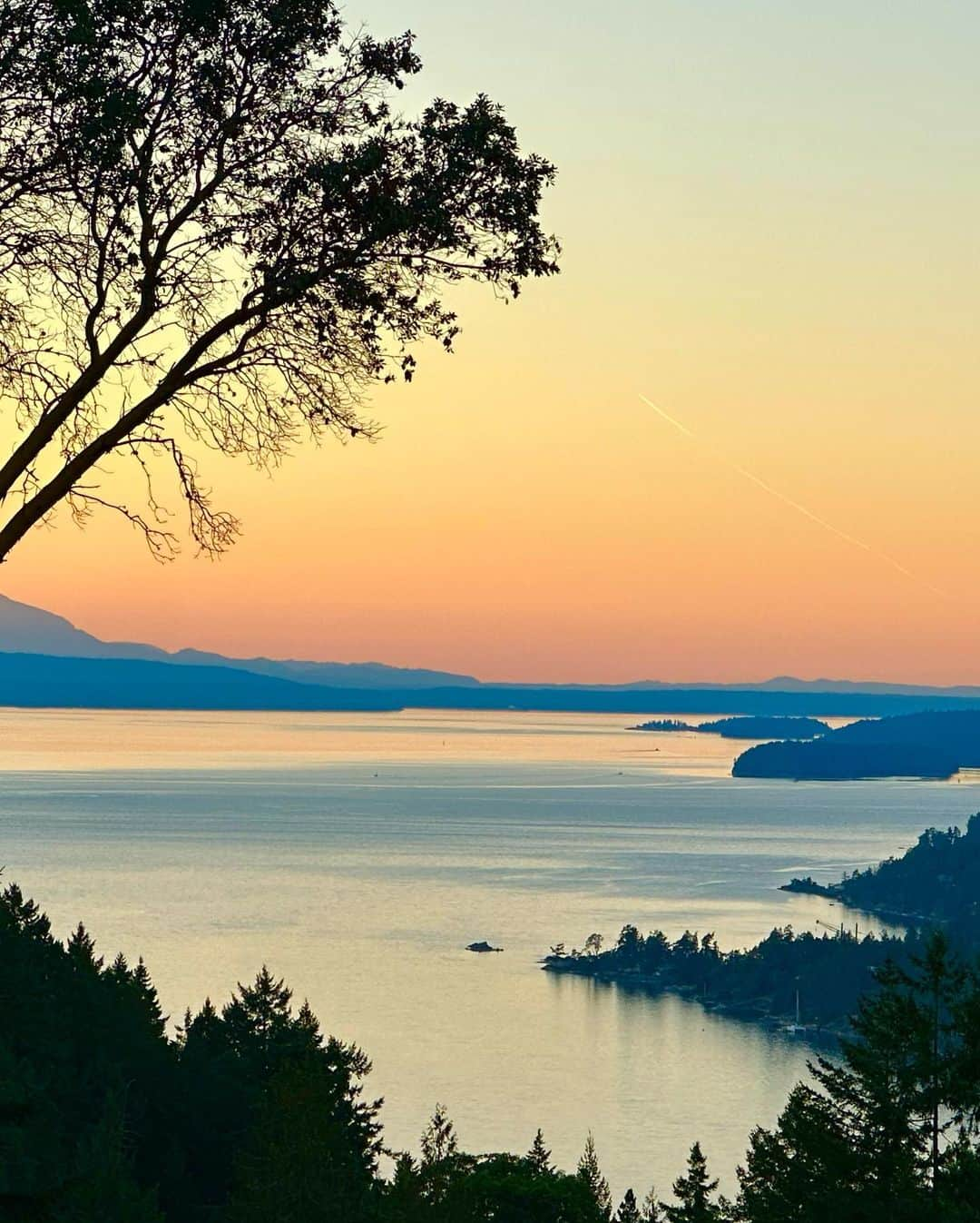 ハンナ・シモンさんのインスタグラム写真 - (ハンナ・シモンInstagram)「OH CANADA (full of all my best friends: old smiling trees/ deep waters with full red moons/ wine tastings on tiny islands/ romantic swans on dates/ cozy floating fires and BABY GOATS/ 🇨🇦」11月6日 3時04分 - therealhannahsimone