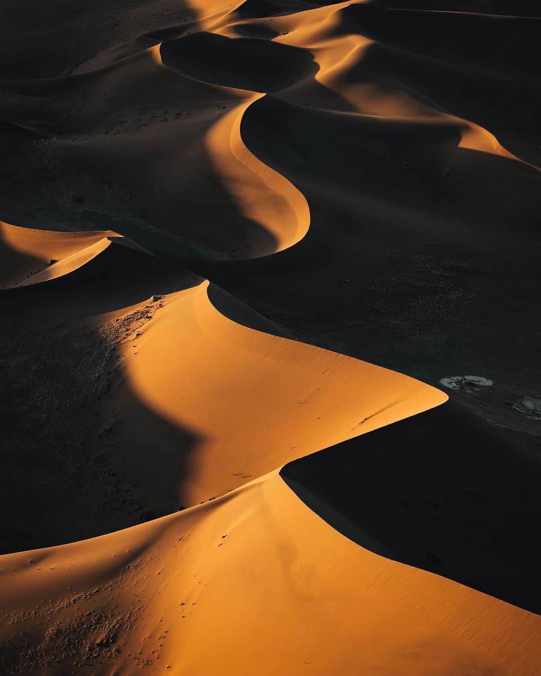 Discover Earthさんのインスタグラム写真 - (Discover EarthInstagram)「The talented @jasoncharleshill capturing the timeless beauty of Earth's oldest desert, the Namib. 📸  📍 Namibia  🇳🇦 #DiscoverNamibia with @jasoncharleshill」11月6日 4時00分 - discoverearth