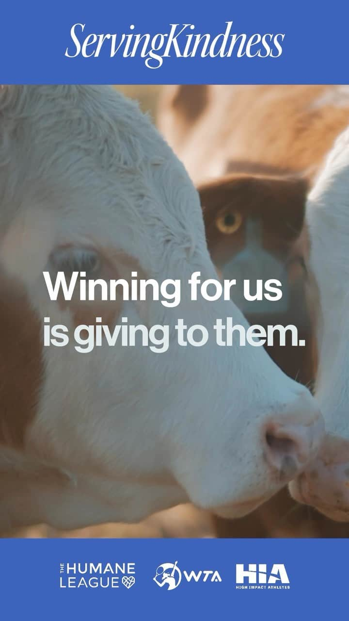 エリーゼ・メルテンスのインスタグラム：「@mertenselise is #ServingKindness left, right and centre 🎾   Each on court victory has an off-court impact, so far improving the lives of 18,670 factory farmed animals. Implemented by the epic team at @thehumaneleague 🐮   Over the course of just one week, we’ve helped improve the lives 18,670 innocent animal’s. This incredible number can only go up, with your the help of your pledge.  Pledge any amount, no matter how much. The link to which is in our bio, see you there 💪」