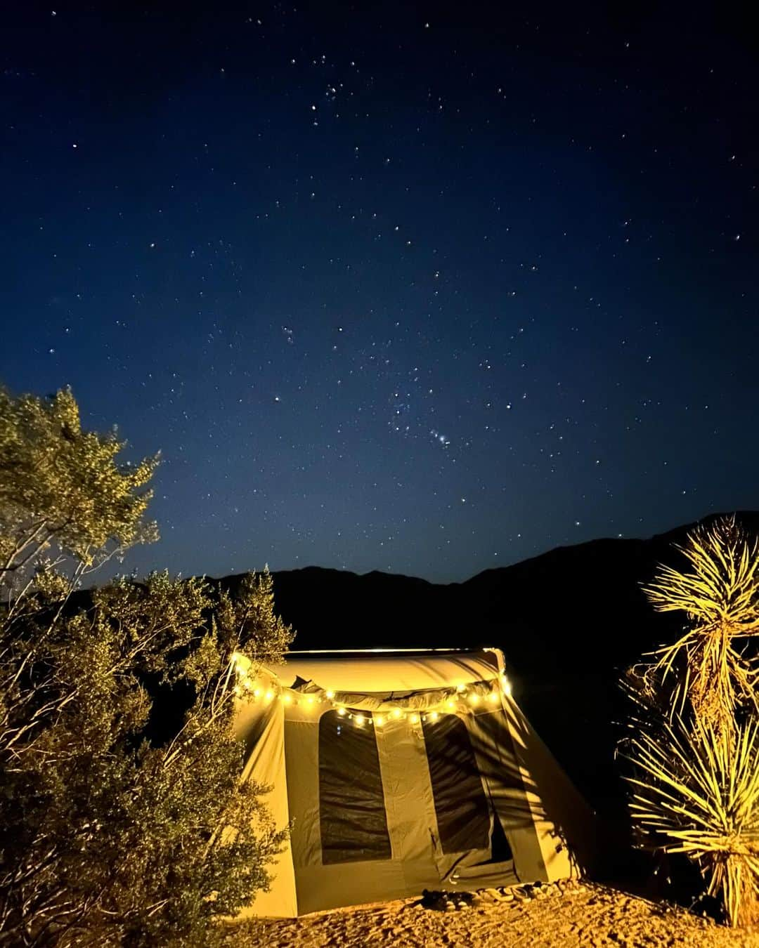 イリー・リーのインスタグラム：「#joshuatree #camping #camper #fire #liveyourlife」