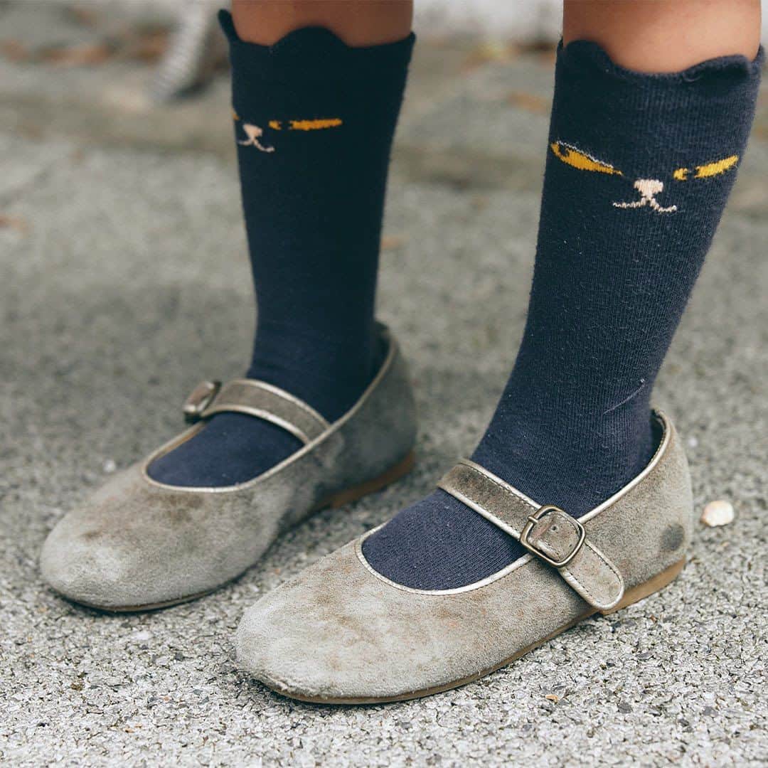 ハグマグ編集部さんのインスタグラム写真 - (ハグマグ編集部Instagram)「ユイさん＆たくみさん、わこちゃん・ 4歳、のぎくん・ 2歳  ホワイトやチェック、デニムなど 随所にリンクを散りばめて🤍  ［mama］ Tops：ireiru Bottoms：elephant TRIBAL fabrics Bag：ARTS&SCIENCE Shoes：adidas by RAF SIMONS  ［papa］ Tops：vintage Bottoms：LEVI'S Shoes：FACETASM×NIKE  ［girl］ Tops＆Shoes：vintage Bottoms：ireiru  ［boy］ Tops＆Bottoms：vintage inner：ireiru Shoes：adidas ___________________________________  詳しくはウェブサイトの記事で紹介中。プロフィールのリンクからチェックしてね🌼 @hugmug_insta ___________________________________ #hugmug#ハグマグ#親子スナップ#ママファッション#ストリートコーデ#ガーリーカジュアル#秋コーデ#秋ファッション#秋服#リンクコーデ#親子リンク#キッズファッション#キッズスタイル#ママコーデ#ママコーデファッション#カジュアルコーデ#秋色カラー#おしゃれキッズ#ベビー服#男の子コーデ#女の子コーデ#家族コーデ#ファッションスナップ#親子ファッション#家族コーデ#家族写真#家族スナップ#親子リンクコーデ#親子ペアルック#親子装#ハグマグファミリー」11月6日 16時36分 - hugmug_insta