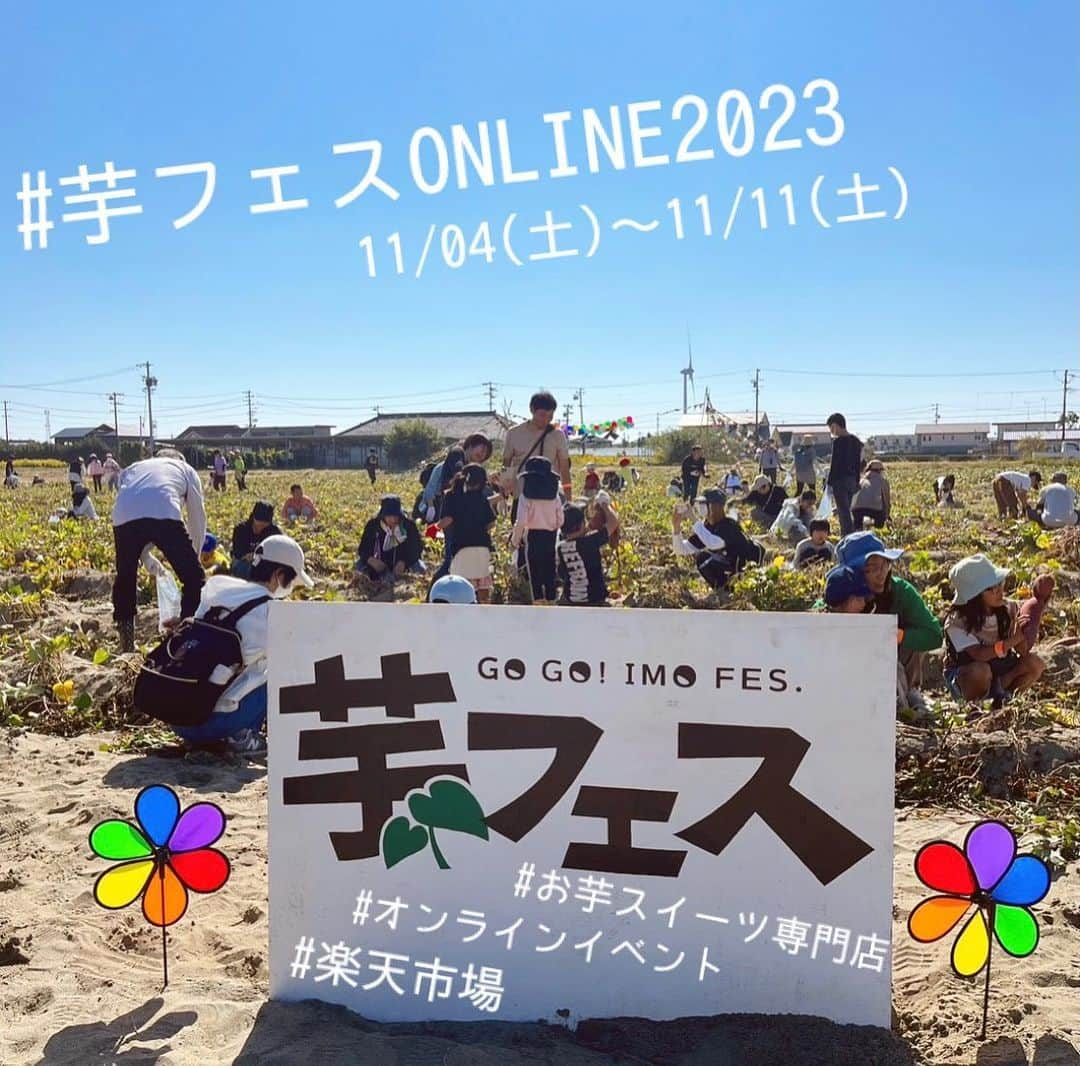 おいもやのインスタグラム：「芋フェスまだまだ終わらない🍠  #芋フェスONLINE2023 11/04(土)〜11/11(土)1:59まで  楽天市場にて、芋フェスONLINEはじまりました！ リアルイベントは終了しましたが、 まだまだ終わりません💃 オンライン上で楽しめる企画をたくさん用意しました♩ 当日イベントには参加出来なかったよ〜というお客様も、 ぜひ芋フェスONLINE、覗いてみてください💐  ◎スイーツガチャ  外れなし！豪華スイーツが届くかも！  ◎紅はるか生芋販売 おいもやスタッフが収穫したお芋をどうぞ！  ◎焼き芋たべくらべ 芋フェス限定たべくらべセット！希少品種も🍠  などなど、、！ お芋スイーツを楽しみながらお買い求め頂けます◎  芋フェスのあれこれのコラム #おいも通信 や、 スタッフイチオシの#お芋レシピ 等も公開中💭  オンライン会場でお待ちしております🏃‍♂🏃‍♀ （🔗ストーリーリンクより）  #おいもや#静岡#掛川#お芋スイーツ専門店#芋フェス#オンラインイベント#さつまいも#焼き芋#スイーツ福袋#ガチャガチャ#紅はるか#紅あずま#泉13号#食べ比べセット#🍠」