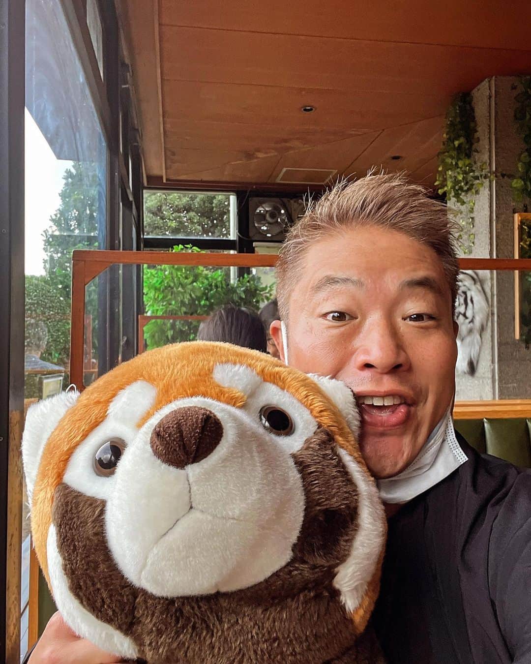 栗原心平さんのインスタグラム写真 - (栗原心平Instagram)「伊豆シャボテン動物公園にいます。 決して遊びにきているわけではありません。 ここは動物との距離感が尋常じゃなく近いですw ビビるけどスリリングで楽しい😃 それにしても伊豆高原駅で降りるのは35年ぶりくらいだろうか…気分は浦島。  #栗原心平 #shimpeikurihara #伊豆動物シャボテン公園 #伊豆高原 #里帰り気分 #ちゃんと仕事してる #すげー仕事してない感 #本当にしている」11月6日 15時35分 - shimpei_kurihara