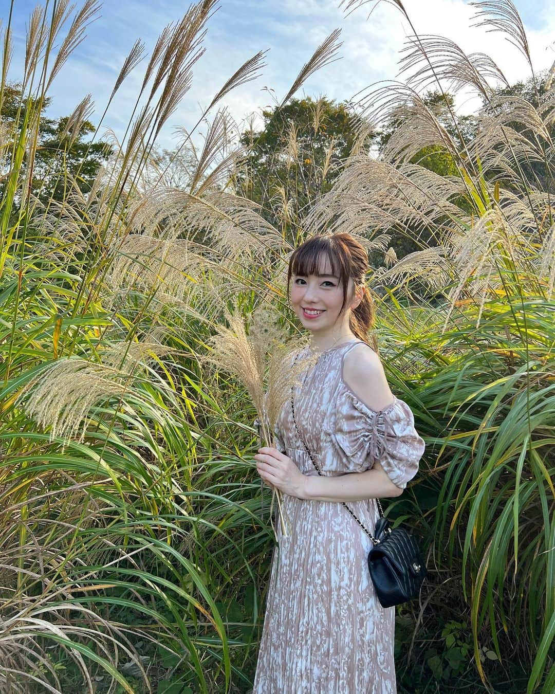 早川愛さんのインスタグラム写真 - (早川愛Instagram)「🌾🌾🌾  Autumn🌾🌾🌾  三連休は11月とは思えない夏日でしたね🫥🫥  ススキ、ちょっと早かったかな？ ふわふわかわいかった🤍🤍🤍 ススキって子供の頃に見かけたけど最近ないのはなぁぜなぁぜ？笑  ・  #ススキ #すすき #狭山公園 #都立狭山公園 #多摩湖 #happy」11月6日 7時57分 - megumegu_1006