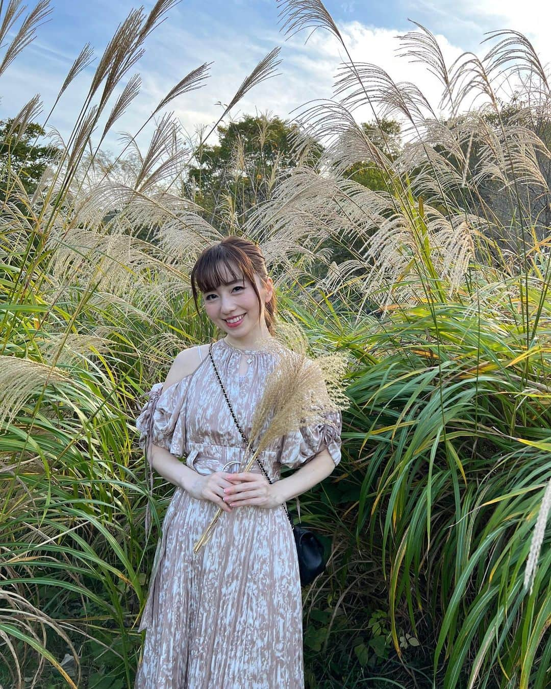 早川愛さんのインスタグラム写真 - (早川愛Instagram)「🌾🌾🌾  Autumn🌾🌾🌾  三連休は11月とは思えない夏日でしたね🫥🫥  ススキ、ちょっと早かったかな？ ふわふわかわいかった🤍🤍🤍 ススキって子供の頃に見かけたけど最近ないのはなぁぜなぁぜ？笑  ・  #ススキ #すすき #狭山公園 #都立狭山公園 #多摩湖 #happy」11月6日 7時57分 - megumegu_1006