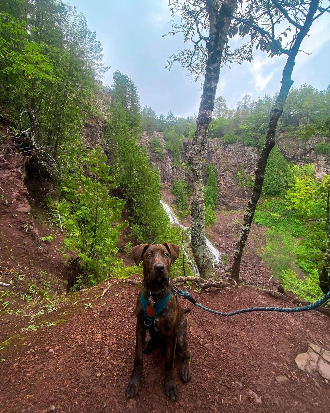 Bolt and Keelさんのインスタグラム写真 - (Bolt and KeelInstagram)「The adventures of Wardyn!🍁🌲 This pup loves to explore Michigan with his pawrents 🌊🐾  @adventrapets ➡️ @wardyn.wanders  —————————————————— Follow @adventrapets to meet cute, brave and inspiring adventure pets from all over the world! 🌲🐶🐱🌲  • TAG US IN YOUR POSTS to get your little adventurer featured! #adventrapets ——————————————————」11月6日 8時12分 - adventrapets