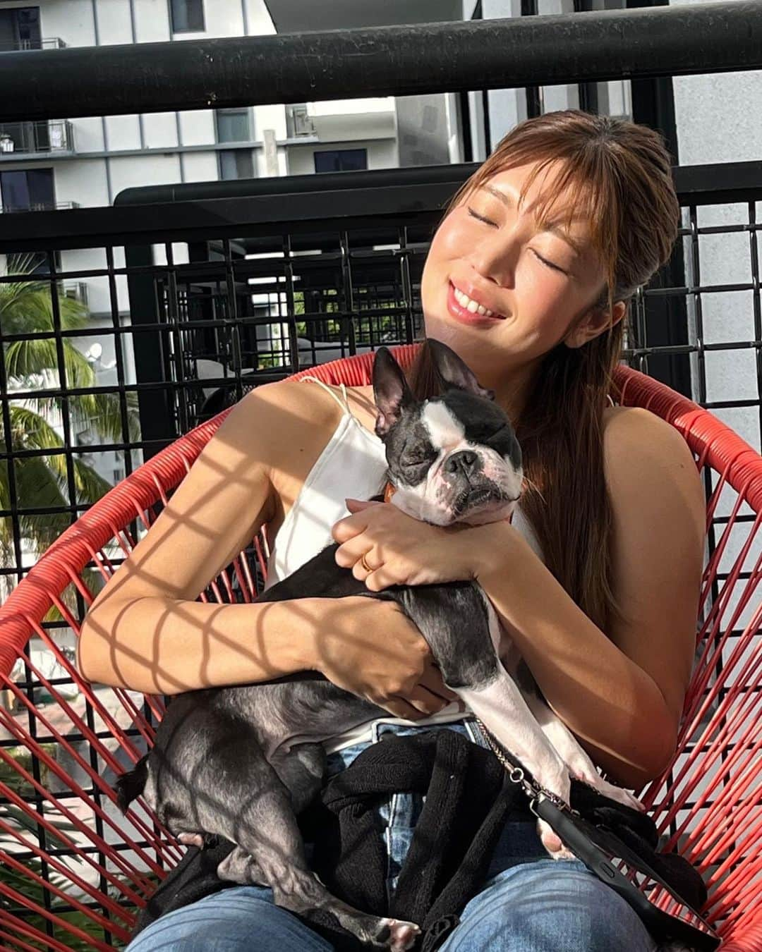 新庄千歳さんのインスタグラム写真 - (新庄千歳Instagram)「ついに保護犬シェルターanifareから わんちゃんを譲渡してもらいました😆✨  日本からアメリカに連れてくるまでにはいろんなストーリーがありましたが無事到着しました🥹✈️🌴🇺🇸  ボストンテリアの女の子です！ 名前は【チョット】と名づけました💕 チョットは、ブリーダーさんの元でお母さんを していたこともありますし 一般のお家で過ごしていたこともあります。　  @chotto_bosterri   飼い主さんが何回か変わってしまっているからか 少し心に傷があるように感じます🥲 早くずっとの家族と思ってもらえるように頑張ります☺️💪  #マイアミ #アメリカ生活 #ボストンテリア #rescuedog #bostonterrier #bosterri #ちょっと」11月6日 8時16分 - chii_in_miami