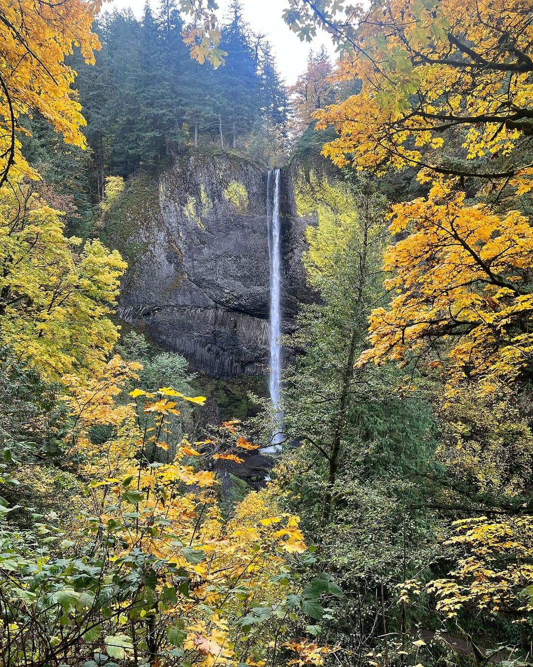 アラン・カミングさんのインスタグラム写真 - (アラン・カミングInstagram)「Having fun in Portland, Oregon!!」11月6日 8時20分 - alancummingreally