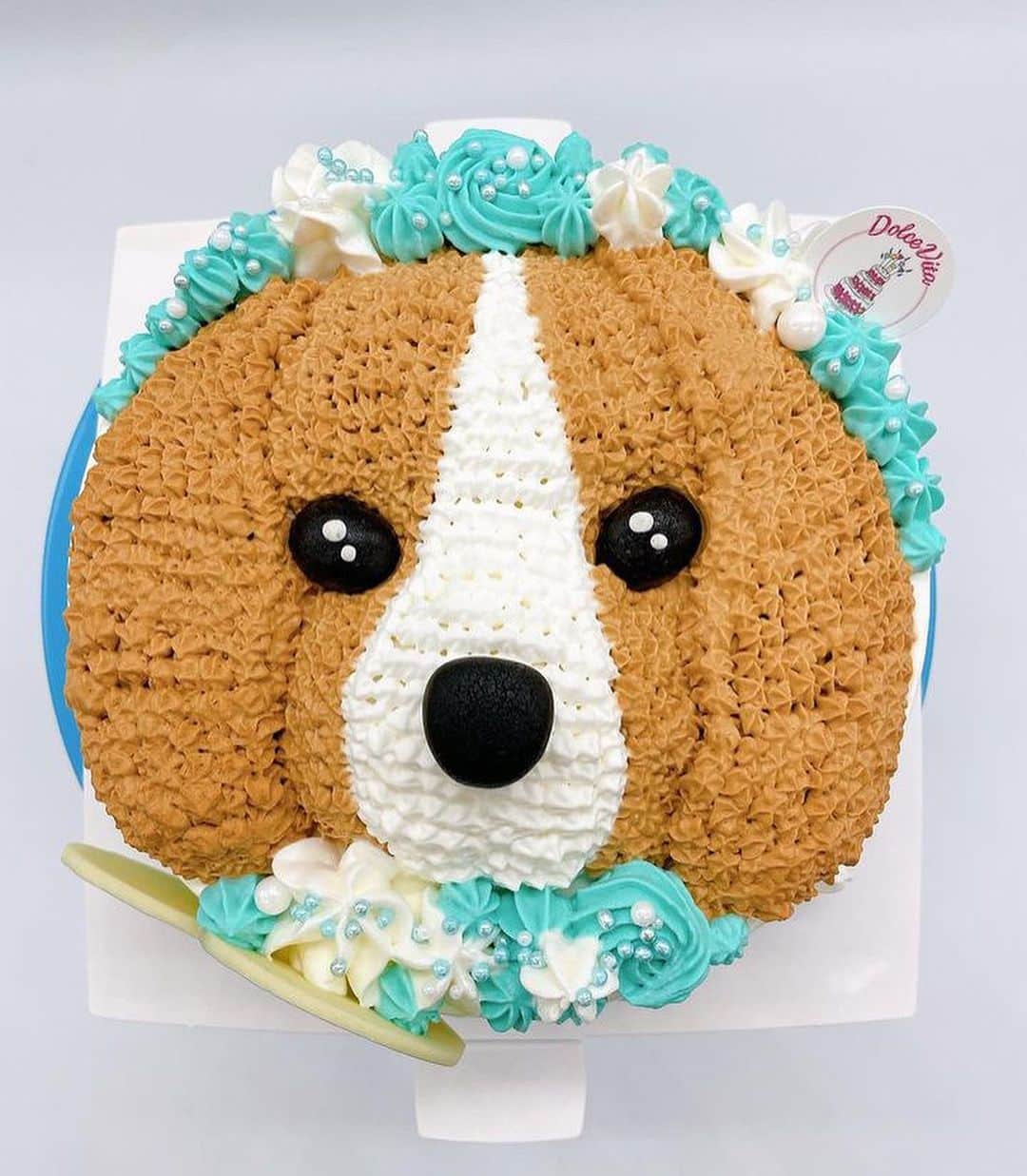 麻美のインスタグラム：「パパの誕生日ケーキ🎂 ． @dolcevita.2023  にお願いして殿ちゃんの顔の チーズケーキ作って頂きました❤️ ． サクサクのクッキーのタルトに 濃厚なレアチーズケーキが 最高に美味しかった❤️ ． ありがとうございました😊 ． #誕生日ケーキ #愛犬の顔ケーキ #dolcevita」