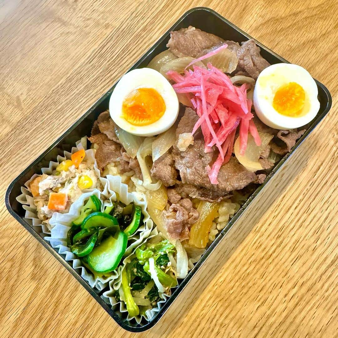 おちあやこのインスタグラム：「今日の夫弁当。  牛丼です。  ふるさと納税の牛肉が届いたので、 迷わず牛丼  里芋のポテサラ きゅうりとワカメの酢の物 ほうれん草ともやしのナムル ゆで卵  今日は 阪神日本一で阪神百貨店がどのくらい賑わってるのか、 覗いてこよう。  #今日の夫弁当 #今日のお弁当 #お弁当 #弁当記録 #あと5日　#阪神タイガース#日本一#おめでとう」