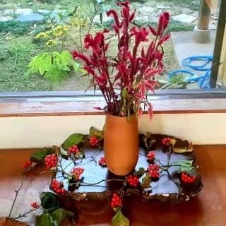 ハンディやしきのインスタグラム：「今日のお花🎶  #サルトリイバラ をあしらうとグッと秋らしさがでていい感じ🎶  #花 #花のある生活 #秋らしい #秋コーデ #花瓶の花 #玄関インテリア #お花のある暮らし」