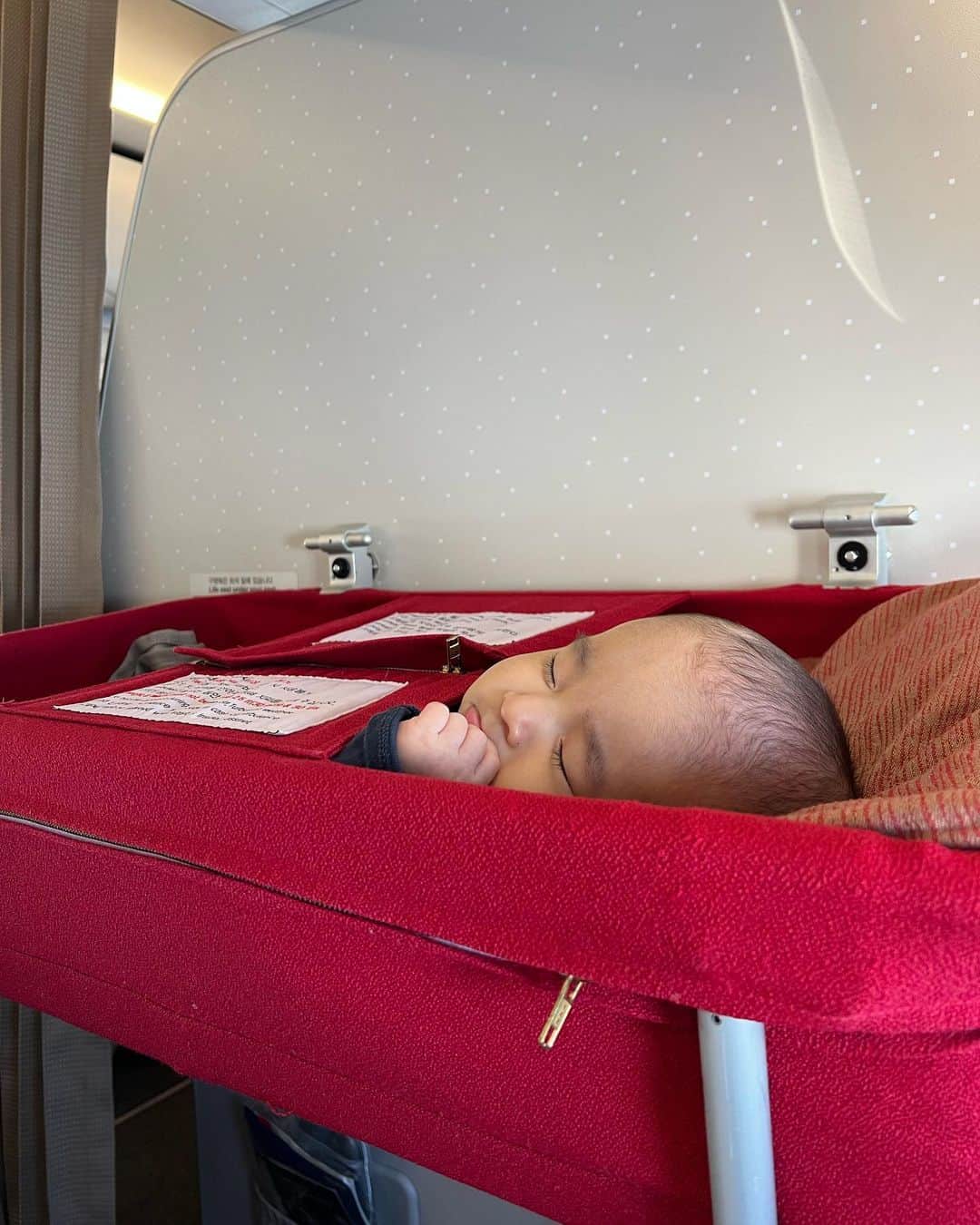 Risako Yamamotoさんのインスタグラム写真 - (Risako YamamotoInstagram)「Trip to Korea🇰🇷✈️  初めての飛行機、無事に過ごせました♡ ここ1週間ほとでスタイが必要になってきて、スタイデビュー♡🦭  #korea #韓国旅行 #赤ちゃん連れ旅行 #新米ママ」11月6日 9時43分 - risako_yamamoto