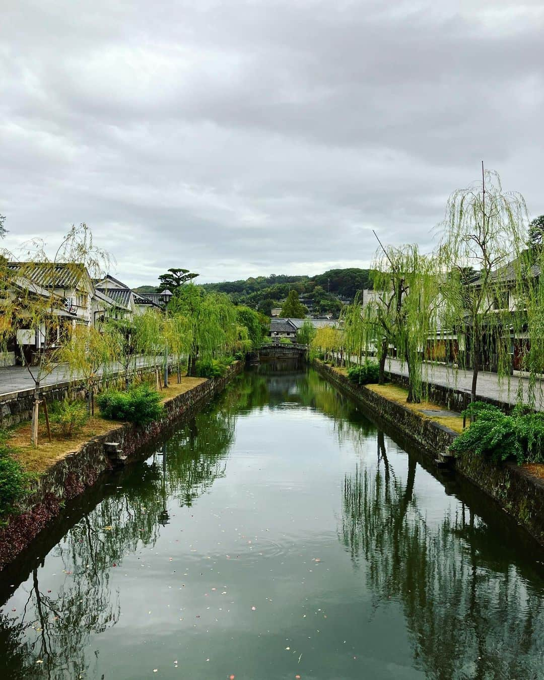 ナガイケジョーさんのインスタグラム写真 - (ナガイケジョーInstagram)「昨晩、広島ライブ後バンドワゴンはチビリと東へ走り倉敷にて一泊。宿に着くや日本シリーズは最終回を迎えており、取り急ぎの缶ビールを片手にタイガース優勝の瞬間を見届ける。ふと中学生の頃ともに阪神を応援していた友人H君へと連絡してみると案の定すぐに返信があり、お互いしんみりと感慨に耽ったりする。亀山＆新庄コンビに沸いた頃からも30年ほどの歳月が流れてるとは…🐯おめでとうございます。 そして今朝、まあまあ早くに目は覚め。 せっかくなので倉敷のRyoJoe＝旅情を味わってやろうと通勤客にまぎれて駅そばをすするイメージで倉敷駅へ潜入するもそんな店はなく（ホームまで行けばあるのかな？）、しょうがないので出かけついでに美観地区を歩く。 雨上がりのしっとり一段落ち着いた雰囲気も趣きが深く、朝の人気がない美観地区もまた贅沢な味わい。白鳥だって気を遣って近寄ってきてくれる🦢 出発の時間も近いので普段なら登ってしまうような階段も見上げるだけにとどめておき、普段なら通り過ぎるであろう賽銭箱に旅の安全を祈願して宿へと戻る。 昨日の広島に引き続き、あと2時間は欲しい倉敷散歩でありました🚶  #倉敷散歩 #美観地区 #旅情」11月6日 9時44分 - joenagaike