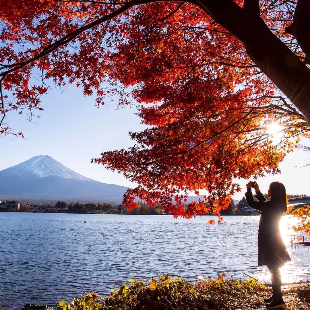 タイ航空のインスタグラム：「Fall into the magic of autumn hues at Mount Fuji, where nature paints a breathtaking masterpiece. Let Thai Airways guide you to this unforgettable seasonal journey. 🍂✈️ Book now at thaiairways.com or click link our bio.   #thaiairways #smoothassilk #tokyo #japan #FujiAutumnMagic #THAIAirwaysAdventures #flyTHAItoJapan #flythai」