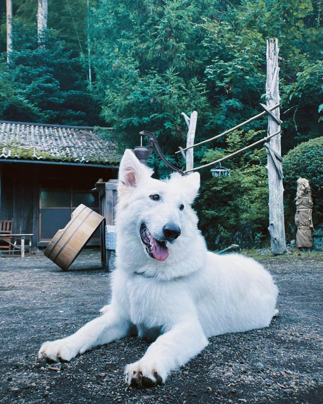 塩野瑛久のインスタグラム：「. むぎ。  #天狗の台所」