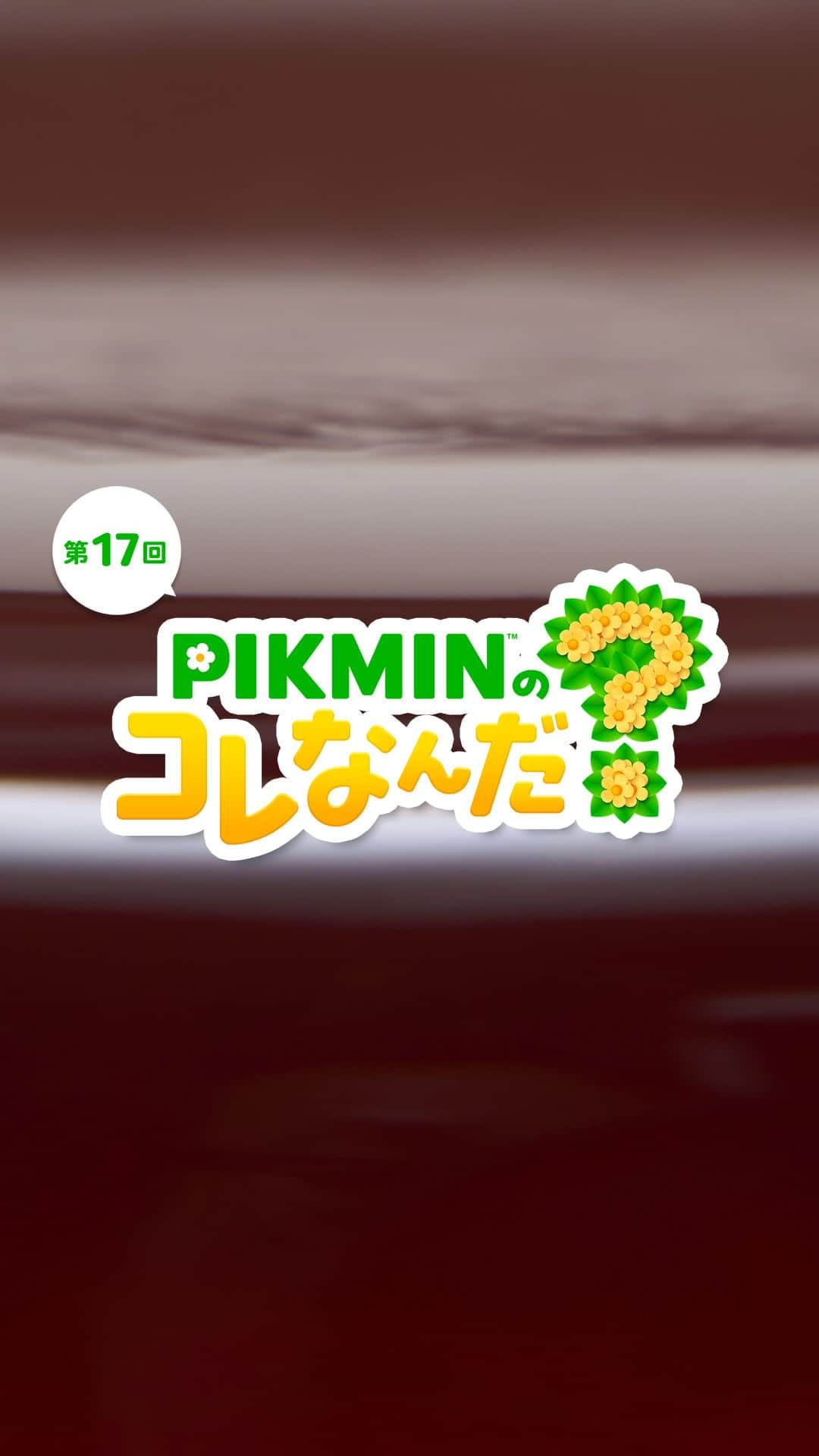 任天堂のインスタグラム：「「PIKMINのコレなんだ？」第17回  ピクミンたちが見つけたものはなんでしょう？  #ピクミン #pikmin #これなんだ #NintendoSwitch #Nintendo #任天堂」