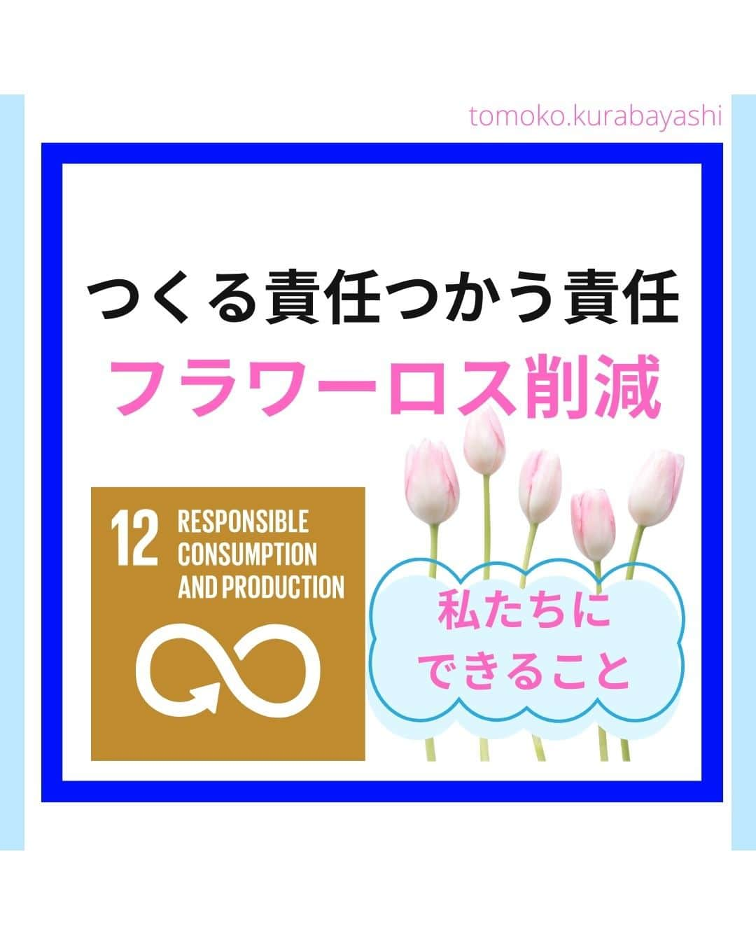 倉林知子のインスタグラム：「今日は「フードロス」ならぬ「フラワーロス」についてお届けします。  ❁.｡.:*:.｡.✽.｡.:*:.｡.❁.｡.:*:.｡.✽.｡.:*:.｡. ❁.｡.:*:.｡.✽.｡.: SDGsアナウンサーとして 主にSDGs関係の情報発信をしています→@tomoko.kurabayashi  オフィシャルウェブサイト(日本語) https://tomokokurabayashi.com/  Official website in English https://tomokokurabayashi.com/en/  🌎️SDGs関係のことはもちろん 🇬🇧イギリスのこと (5年間住んでいました) 🎓留学、海外生活のこと (イギリスの大学を卒業しています) 🎤アナウンサー関係のこと (ニュースアナウンサー、スポーツアナウンサー、プロ野球中継リポーター、アナウンサーの就職活動、職業ならではのエピソードなど)etc  扱って欲しいトピックなどありましたら気軽にコメントどうぞ😃 ❁.｡.:*:.｡.✽.｡.:*:.｡.❁.｡.:*:.｡.✽.｡.:*:.｡. ❁.｡.:*:.｡.✽.｡.: #イギリス #留学 #アナウンサー #フリーアナウンサー #局アナ #バイリンガル #マルチリンガル #英語 #フランス語 #SDGsアナウンサー #SDGs #つくる責任つかう責任 #フラワーロス #ピアス #イヤリング #ドライフラワー #花のある暮らし #サスティナブル #フラワーサイクリスト #つくる責任つかう責任 #規格外 #花束 #観葉植物 #花屋」