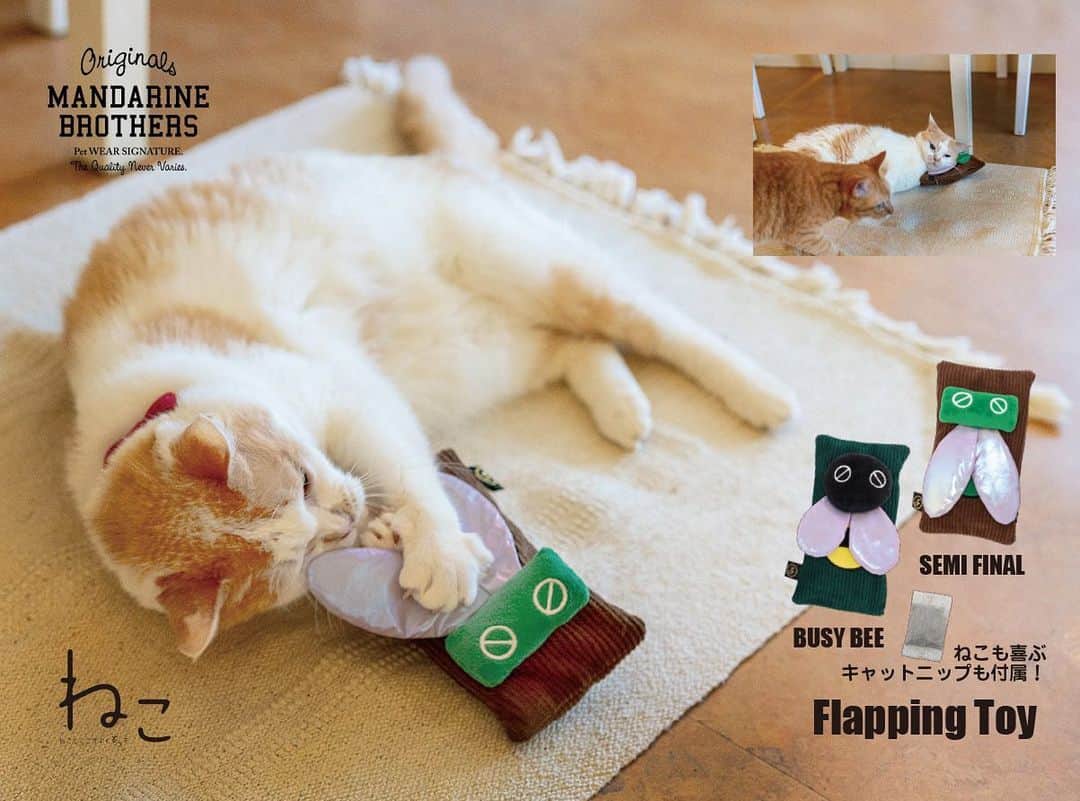 ねこのインスタグラム：「【フォロー&いいね】 プレゼントキャンペーン開催だよ〜💝  今回はFlapping Toy( @mandarinebrothers_for_cats ) のセミファイナルを5名様、ビジービーを5名様、の合計10名様にプレゼント🎁しちゃいます～❣️  「こんなのずっと欲しかった」を実現した、マンダリンブラザーズforキャッツから登場した、タッチセンサーで「ポンッ」と触れるとパタパタと動き出す！ねこちゃん大興奮のセミとハチのUSB充電式電動おもちゃです。お好みで使えるキャットニップ付き！  SHOP URL：https://mandarinecat.com    以下をよく読んで応募くださいね‼️   応募期間：11月6日（月）～12日（日）まで ‼️ 応募方法：雑誌ねこアカウント（ @neko_magazine )と、 マンダリンブラザーズアカウント（ @mandarinebrothers_for_cats )のフォロー＆この投稿にいいね👍をしてください ‼️  プレゼント賞品： SEMI FINAL（セミファイナル） BUSY BEE（ビジービー） 各5名様    厳選なる抽選をし、当選者へDMをお送りします。発送は11月中旬以降を予定しています。なお、発送は国内のみになりますのでご了承ください。また、当選の可否に関してのお問合せにはお応えできかねますので、何卒ご理解のうえ応募ください。    #pr :マンダリンブラザーズ  #mandarinebrothers_cats #マンダリンキャット #キャットニップ #マンダリンブラザーズ  #雑誌ねこ #neko_magazine #PR #ねこと暮らす #ねこと心地よく暮らす #ねこすたぐらむ #ねこ部 #ねこ好き #cat #catstagram」