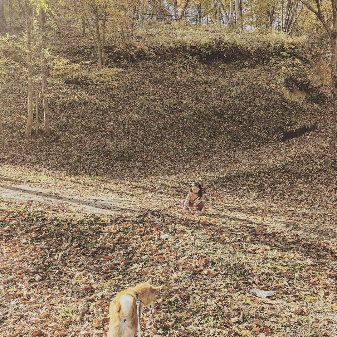 KIKIさんのインスタグラム写真 - (KIKIInstagram)「上野村のいろいろな森へ🌲🌳  森林セラピーでしか入れない 神流川（利根川水系）の源流域のひとつである中之沢原流域を 森林セラピストの中村さんに案内していただいた 深呼吸したり 滝の飛沫を浴びたり ただ森を歩くだけでなく 足をとめて気持ちを向けるだけでも 森のいいエネルギーがからだのなかにじわじわと入ってくる気がする  滞在した宿泊施設の上の森も 遊具があったこともだけど ただただ落ち葉がふかふかに積もっていることが 子どもたちにとっては最高の遊び場所🍁 わたしはその落ち葉が栗であることに興奮したけれど どうやら栗は不作だったらしい  栗はとれなかったけど 森の中や展望台でいただいたお弁当は 上野村づくし✨ もちろん栗原さんセレクトのドリンクも一緒に🍾  #上野村森林セラピーロード  #castagnaselection #カスターニャセレクション」11月6日 12時33分 - kiki_campagnepremiere