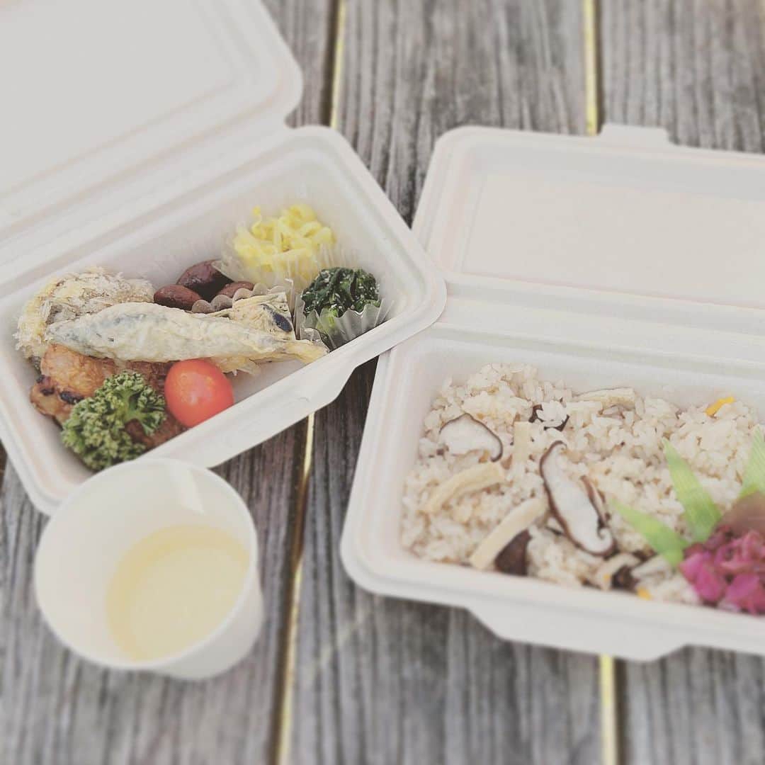 KIKIさんのインスタグラム写真 - (KIKIInstagram)「上野村のいろいろな森へ🌲🌳  森林セラピーでしか入れない 神流川（利根川水系）の源流域のひとつである中之沢原流域を 森林セラピストの中村さんに案内していただいた 深呼吸したり 滝の飛沫を浴びたり ただ森を歩くだけでなく 足をとめて気持ちを向けるだけでも 森のいいエネルギーがからだのなかにじわじわと入ってくる気がする  滞在した宿泊施設の上の森も 遊具があったこともだけど ただただ落ち葉がふかふかに積もっていることが 子どもたちにとっては最高の遊び場所🍁 わたしはその落ち葉が栗であることに興奮したけれど どうやら栗は不作だったらしい  栗はとれなかったけど 森の中や展望台でいただいたお弁当は 上野村づくし✨ もちろん栗原さんセレクトのドリンクも一緒に🍾  #上野村森林セラピーロード  #castagnaselection #カスターニャセレクション」11月6日 12時33分 - kiki_campagnepremiere
