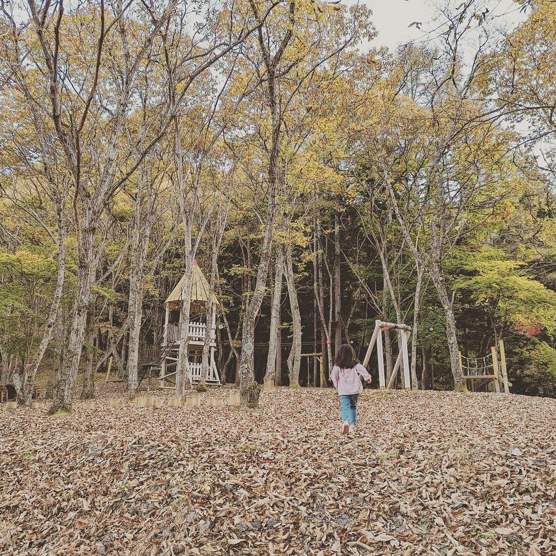 KIKIさんのインスタグラム写真 - (KIKIInstagram)「上野村のいろいろな森へ🌲🌳  森林セラピーでしか入れない 神流川（利根川水系）の源流域のひとつである中之沢原流域を 森林セラピストの中村さんに案内していただいた 深呼吸したり 滝の飛沫を浴びたり ただ森を歩くだけでなく 足をとめて気持ちを向けるだけでも 森のいいエネルギーがからだのなかにじわじわと入ってくる気がする  滞在した宿泊施設の上の森も 遊具があったこともだけど ただただ落ち葉がふかふかに積もっていることが 子どもたちにとっては最高の遊び場所🍁 わたしはその落ち葉が栗であることに興奮したけれど どうやら栗は不作だったらしい  栗はとれなかったけど 森の中や展望台でいただいたお弁当は 上野村づくし✨ もちろん栗原さんセレクトのドリンクも一緒に🍾  #上野村森林セラピーロード  #castagnaselection #カスターニャセレクション」11月6日 12時33分 - kiki_campagnepremiere