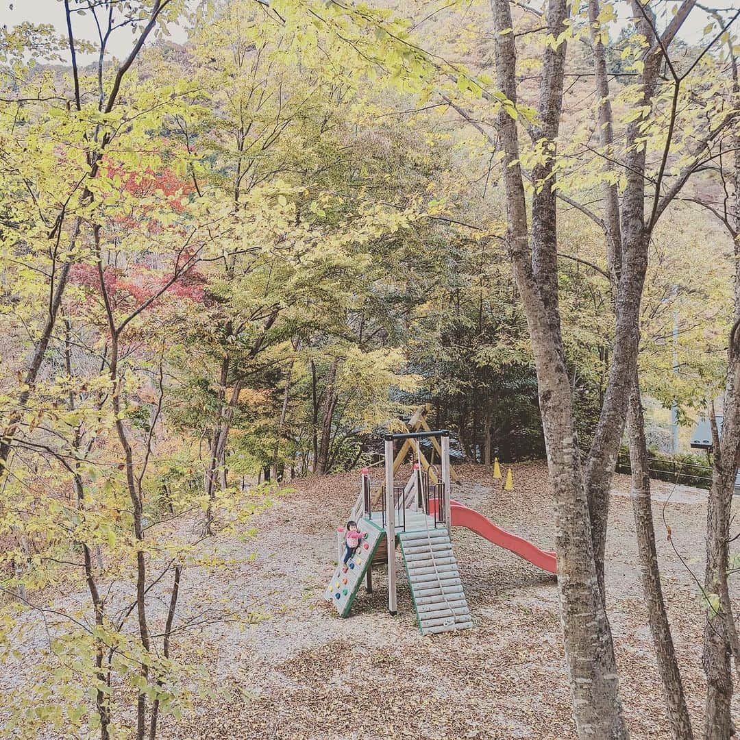 KIKIさんのインスタグラム写真 - (KIKIInstagram)「上野村のいろいろな森へ🌲🌳  森林セラピーでしか入れない 神流川（利根川水系）の源流域のひとつである中之沢原流域を 森林セラピストの中村さんに案内していただいた 深呼吸したり 滝の飛沫を浴びたり ただ森を歩くだけでなく 足をとめて気持ちを向けるだけでも 森のいいエネルギーがからだのなかにじわじわと入ってくる気がする  滞在した宿泊施設の上の森も 遊具があったこともだけど ただただ落ち葉がふかふかに積もっていることが 子どもたちにとっては最高の遊び場所🍁 わたしはその落ち葉が栗であることに興奮したけれど どうやら栗は不作だったらしい  栗はとれなかったけど 森の中や展望台でいただいたお弁当は 上野村づくし✨ もちろん栗原さんセレクトのドリンクも一緒に🍾  #上野村森林セラピーロード  #castagnaselection #カスターニャセレクション」11月6日 12時33分 - kiki_campagnepremiere