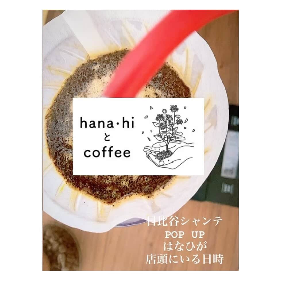 のインスタグラム：「11月8日より日比谷シャンテにて 【hana•hiとcoffee】  ［D.A.K in 日比谷シャンテ］ POPUPストアー参加させていただきます☕️  チャリチョコ🍫から一転 日々coffeeに埋もれております☕️😎🙌  花陽が店頭に出没する予定の日時を！ お知らせさせていただきます🙇‍♀️  ★ ・8日　 ・９日　 ・10日　（16:30頃まで） ・11日　 ・12日　(13:00-16:00まで) ・13日　（15:30頃まで） ・14日 ・15日　（13:00頃〜おります） ・16日　 ・17日　（16:30頃まで) ・18日　（13:30頃まで） ・19日　（13:30頃〜19:00はおりません）  一応全日程、出没はいたします🫣✨ 時間によりお会いできない時もあるかもしれません。(途中休憩で抜けさせていただきます）  皆様とお会い出来る事楽しみにしております。  事前に、、お伝えさせていただきます🙇‍♀️  私。はなひ…coffeeトーク話し始めたらまっっっったく止まりません。。 その際は… 「もう、、そろそろ…」とお声がけください笑  ご了承の程よろしくお願いします🙇‍♀️🤪💦笑  それでは！ POPUPでお会いいたしましょう☕️  #日比谷シャンテPOPUP   #hanahiとcoffee  #ハナヒとコーヒー  #コーヒー好き　#オリジナルブレンド」