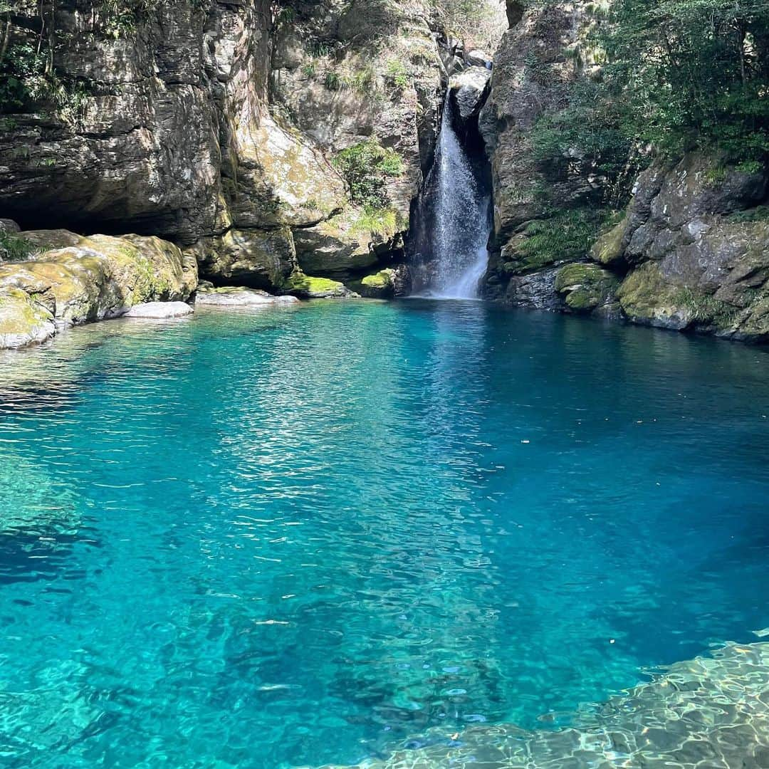 田中美海のインスタグラム：「『田中美海の高知ロケに山崎エリイがついてきちゃいました！』2日目 ⁡ 🌸にこ淵 nikobuchi.です！！！笑 仁淀ブルー、高知観光検索してて絶対行きたい！！と思った場所。木漏れ日と自然に包まれた場所にとっても綺麗で大好きな青が広がっていました💙ただ、、すっっっごく階段がキツい！！降りるのはまだいいけど帰りの登りが本当にキツい！！！！なので絶対にスニーカーなど履き慣れた靴で挑んでください👟 ⁡ 🌸クリスタルカヤック 初カヤックに挑戦！クリスタルのカヤックだから下まで透き通って綺麗すぎた…🤤魚も近くを泳いでた🐟エリイちゃんと力を合わせて大きな事故もなくカヤックを楽しみました✌️自然の空気、ほんと美味しいな…。楽しすぎたのでまた絶対乗りたいです！！！ ⁡ 🌸池川茶園 体を動かした後はご褒美スイーツ🍵💕私たちはプリン、ロールケーキ、みずもち、パフェをいただきました🫶幸せすぎた…。衝撃の美味しさ、食べ終わるのが勿体なさすぎて…持って帰りたかったな…😂優しく素敵なおかあさんも魅力的❤️二人でひたすら癒されてました。後ろに流れる川のロケーションも抜群で全てが美味しい…✨お土産にクッキーを購入🍪 ⁡ 🌸いの町紙の博物館 和紙がたくさん！ここでは紙漉き体験をさせていただきました！こちらも初めての体験でワクワクがいっぱい！完成が楽しみです✨お土産ににこ淵の和紙絵葉書を購入！いい感じの額縁買って飾りたいくらい可愛い…💗 ⁡ 🌸高知城 帰る日の朝、高知城を見学！お城って何度見ても感動するなあ✨この景色を見ていたのかな〜とか考えるだけでロマンいっぱい！城かっこいいー！！！ ⁡ ⁡ ということで以上です！ ダウンロードカードやその他のグッズは『ボイスガレッジオンラインストア』にて発売中！ https://voicegarage.thebase.in ⁡ イベントアーカイブも是非✨ ⁡ また絶対高知行きたい！！！ 本当に大満喫でした！是非皆さんもロケきちゃルートで行ってみてくださいね！ ⁡ #ロケきちゃ #山崎エリイ ちゃん #にこ淵 #池川茶園 #クリスタルカヤック #いの町紙の博物館 #高知城」