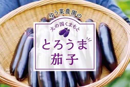 ナッセ熊本 編集部 のインスタグラム：「熊本は「なす」の生産量全国2位！ それなのに本当においしいなすを今まで食べていなかったかもしれない！ということでとっても美味しいなすを栽培されている『ゆう菜農園さん』を取材いたしました！  #ゆう菜農園  記事はTOPのプロフィールリンクをクリック  ◆ゆう菜農園 ◆〒861-5254 熊本県熊本市南区孫代町  @yuuna_kumamoto  #ナッセ#熊本ナッセ#NASSE#nasse#熊本県#なすび#なす#とろうまなす#ゆう菜農園」