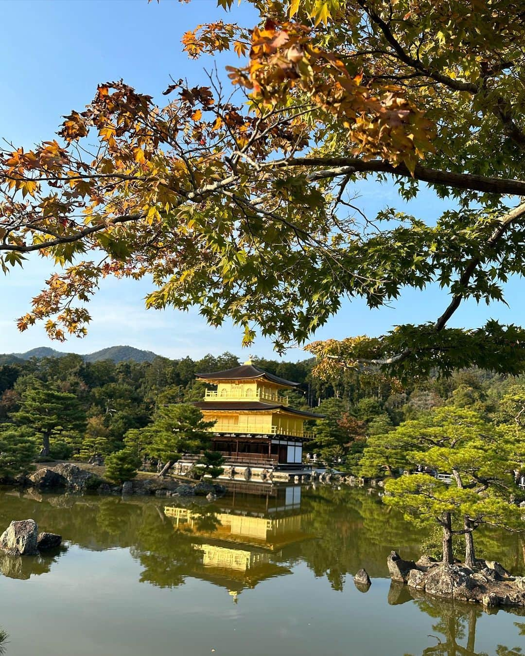 中村香夏さんのインスタグラム写真 - (中村香夏Instagram)「. 🎋⛩️🍡」11月6日 14時20分 - _052k