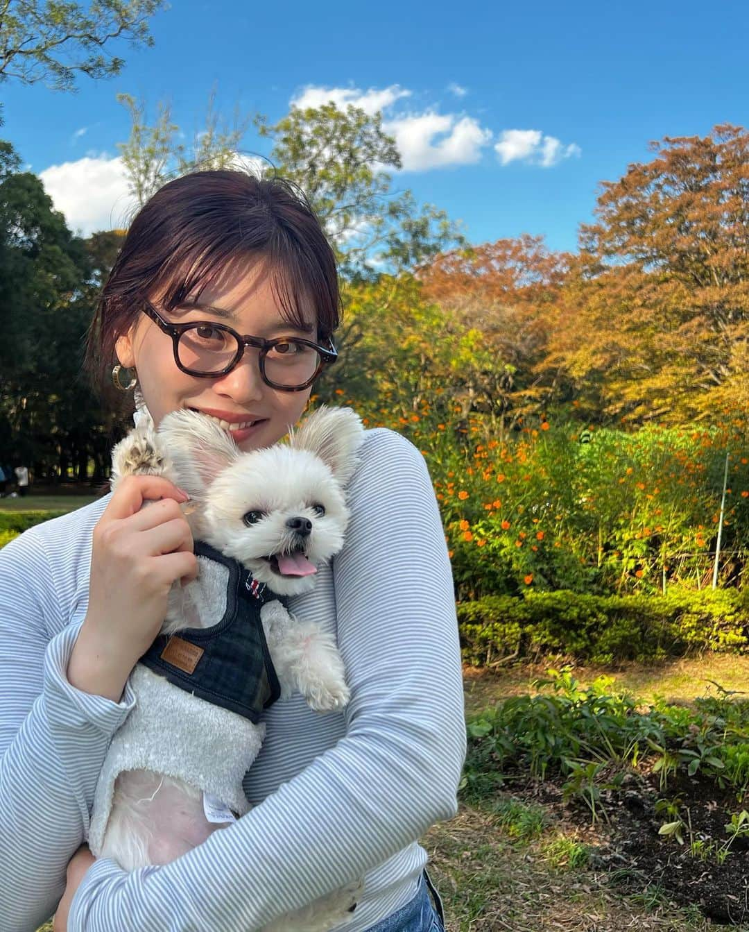 伊藤純奈のインスタグラム：「. 11月なのにまだ 暖かいねえ。  おちゃわんさんと公園デート してきました🧺 嬉しそうな顔してくれていてよかった！  お仕事のない日でメイクをがっつり する事が本当に減ったのでこの前も  une fleur @unefleur_beauty_salon さん でウォーターピーリング、 角栓毛穴洗浄、カーボキシー ヘッドスパをやって頂きました🐩 今回もありがとうございます！ また今月末も行くの楽しみ〜」