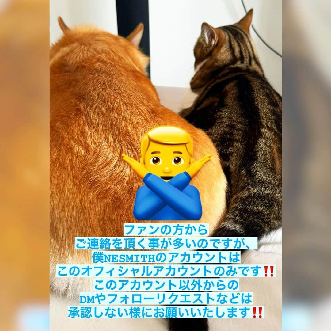 NESMITHのインスタグラム：「⚠️⚠️⚠️⚠️⚠️⚠️⚠️⚠️⚠️⚠️⚠️⚠️⚠️ 偽アカウント情報を最近沢山頂きます😓💦 皆様、ご注意ください‼️ NESMITHのアカウントはこちらのオフィシャルのみです‼️‼️ #偽アカウント #ダメ絶対」