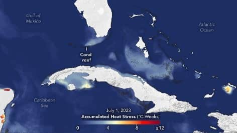 NASAのインスタグラム：「Record-high sea surface temperatures are stressing coral reefs. Corals can be stressed by too hot or cold water, causing reef bleaching. Extreme bleaching can leave a reef susceptible to starvation, disease, and even death. Learn more here: https://earthobservatory.nasa.gov/images/151945/stressful-summer-for-coral-reefs  Video description: This animation shows ocean waters transitioning from blue to deep red as heat built up over the summer around Florida, Cuba, and the Bahamas. The colors show accumulated heat stress, where blue means no heat stress and deep red means greater than 12 degrees Celsius of added heat over the weeks of July 1 through September 30, 2023. The landmasses are white.」