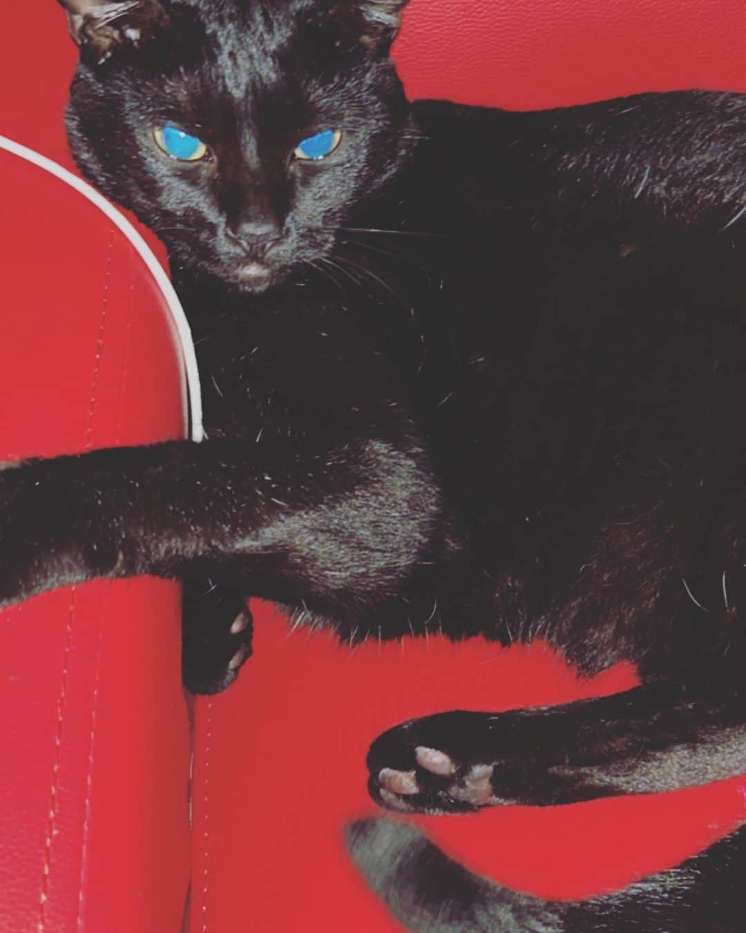 ヒョンミン のインスタグラム：「♥️🖤♥️」