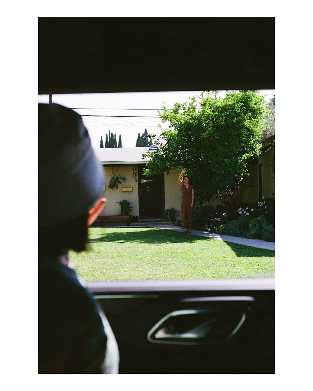 青葉市子さんのインスタグラム写真 - (青葉市子Instagram)「September 2023 Los Angeles  at Seiko's house  @rustic_farm_california   🌿🐓◻️🫘🫒🌼  📷 @tengoyola」11月7日 0時49分 - ichikoaoba