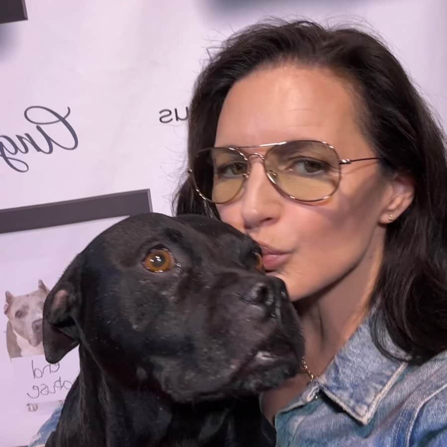 クリスティン・デイヴィスのインスタグラム：「I made it to @standupforpitsfoundation last night and got to see Mister Todd and his amazing human @rebeccacorry . It’s always a joy to see them , Rebecca is a fierce advocate for pit bull type dogs and has devoted her entire life to educating people and saving velvet hippos. I love the unapologetic and funny way she lives her life, and the people who love and support @standupforpitsfoundation are the best. It’s so great to be at the show, i highly recommend going to see her stand up if she comes to your town. ♥️」