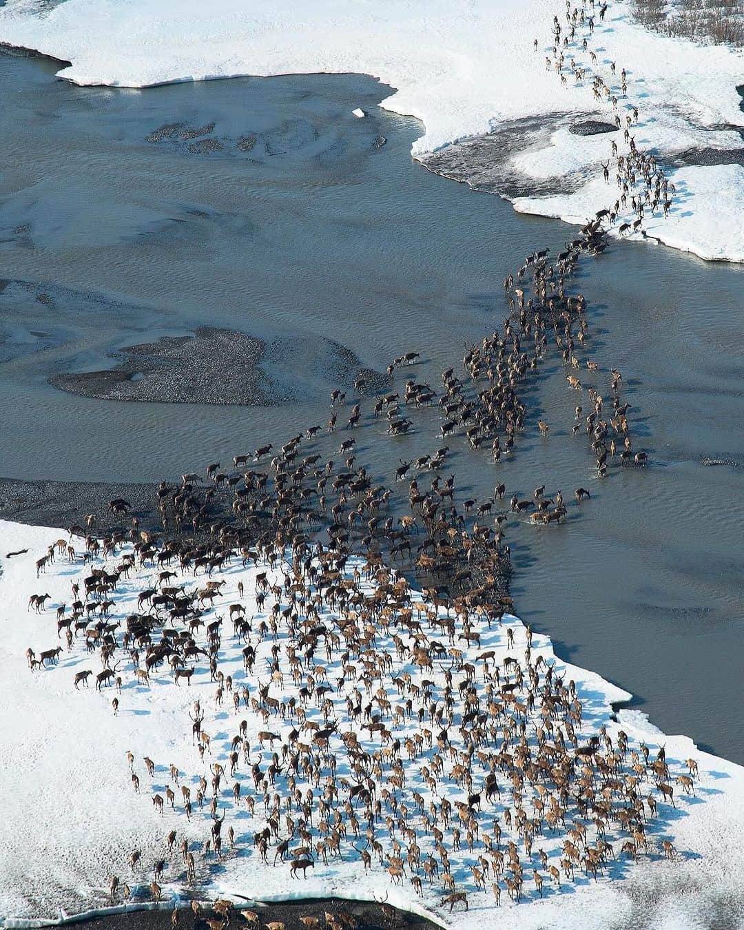 patagoniaのインスタグラム：「The 23-million-acre Reserve in Alaska’s North Slope is the largest tract of U.S. public land, home to hundreds of species at increased risk due to a warming climate. Public lands are also Native lands, spanning ancestral territories Indigenous communities have stewarded for millennia.  New drilling in the Reserve would threaten local ecosystems and communities all while locking the U.S. into decades of fossil fuel production. Join us in supporting President Biden’s proposal to expand protections for the Reserve.  Submit a comment by November 17 through our link in bio.」