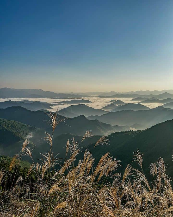 和みわかやまさんのインスタグラム写真 - (和みわかやまInstagram)「. 田辺市本宮、熊野の山々に雲海がひろがると、より神秘的な雰囲気になります🙏日中と朝晩の寒暖差が大きいと、雲海が出やすいといわれています🤫  📷：@yoshiyan510 📍：熊野エリア 田辺市  和歌山の写真に #nagomi_wakayama のハッシュタグをつけて投稿いただくと、その中から素敵な写真をリポストします😉 . . . #和歌山 #和歌山観光 #和歌山旅行 #わかやま #和みわかやま #wakayama #wakayamajapan #wakayamatrip #wakayamatravel #nagomi_wakayama #wakayamagram #熊野 #雲海 #本宮 #熊野本宮大社 #熊野三山 #shrine #kumano #seaofcloud #kumanohongutaisha #旅行 #国内旅行 #旅行好きな人と繋がりたい #観光 #travel #trip #travelgram #japan #travelphotography」11月6日 17時00分 - nagomi_wakayama_tourism