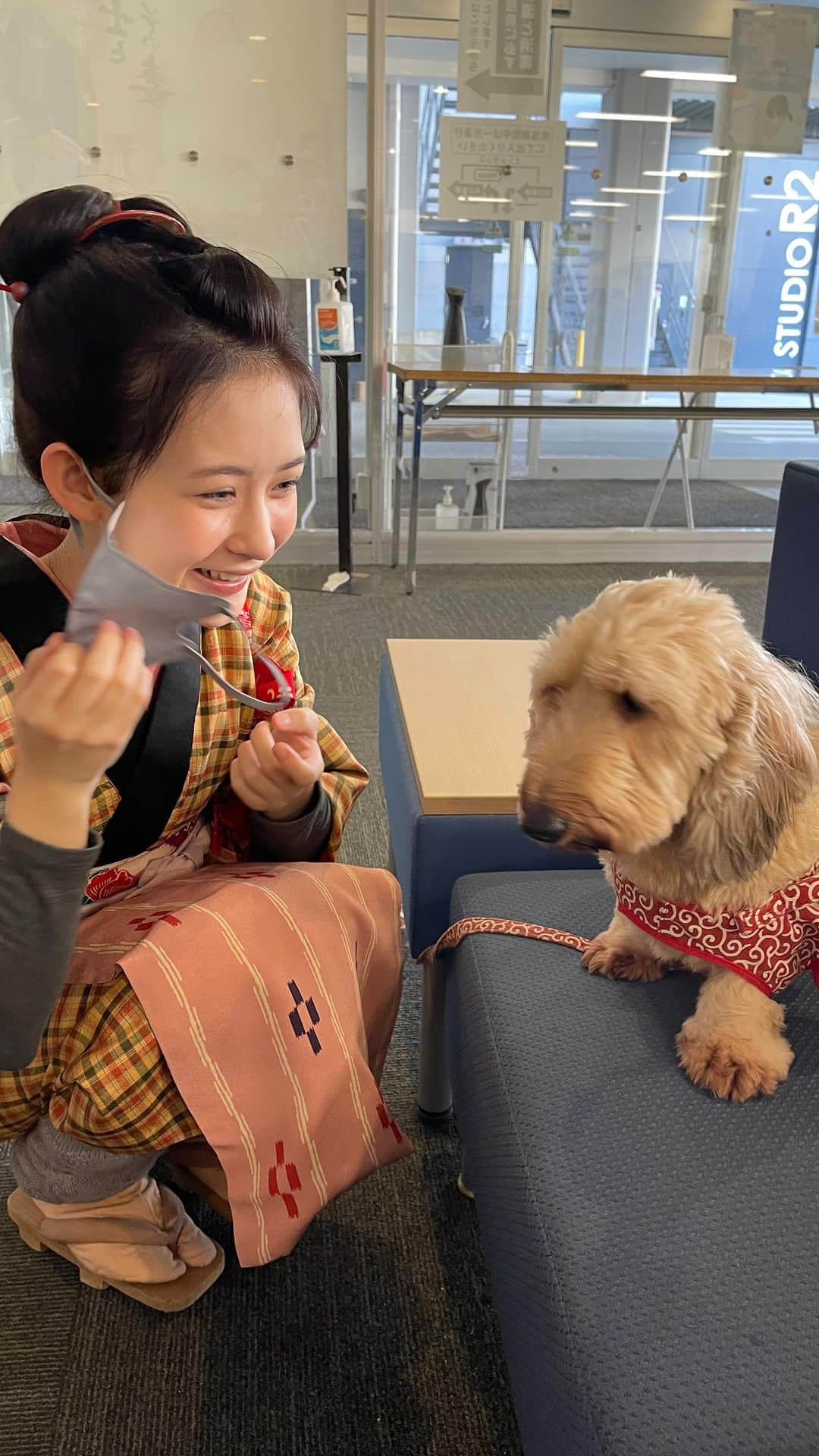 畑芽育のインスタグラム：「去年の今日、太秦での撮影 ㅤㅤㅤㅤㅤㅤㅤㅤㅤㅤㅤㅤㅤㅤㅤ いっぬさまに遊んでもらってる図 あっ！というまのいちねんです。」