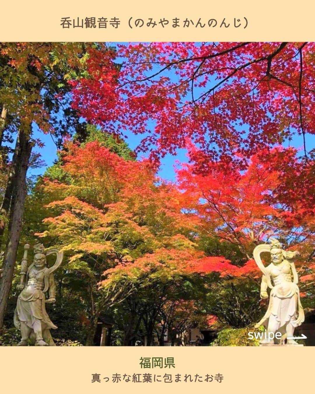 九州電力さんのインスタグラム写真 - (九州電力Instagram)「【秋のお出かけ情報🍂九州の人気紅葉スポット5選✨】  🍁九州の紅葉スポットの中でも特に注目の場所をご紹介します！ . ------------------------------------------ お出かけの参考にぜひ【保存】をしてね🍁 ------------------------------------------ . ～.～. ～ .～ .～ .～ .～ ①📍 宝満宮竈門神社(ほうまんぐうかまどじんじゃ) 福岡県太宰府市内山883 1350年以上の歴史をもつ神社で、境内を彩る紅葉が美しい🍁 もみじ祭り：11月25日（土）・26日（日） ライトアップ：11月18日（土）～11月30日（木） @kamadojinja.official 写真提供：宝満宮竈門神社  ②📍 呑山観音寺（のみやまかんのんじ） 福岡県糟屋郡篠栗町萩尾227-4 高野山真言宗の別格本山。多種多様の木々が紅葉し境内が真っ赤に染まる🍂 紅葉まつり：～11月23日（木） @nomiyama_kannonji_official 写真提供：呑山観音寺  ③ 📍雲仙ロープウェイ 長崎県雲仙市小浜町雲仙551 仁田原峠から妙見岳まで約3分間の空中散歩が楽しめる。約100種類の木々が美しく色づく🚠✨ @unzen_ropeway3572 写真提供：雲仙ロープウェイ株式会社  ④📍寿福寺（じゅふくじ） 長崎県佐世保市江迎町長坂276 紅葉の時期になると色鮮やかな逆さ紅葉が楽しめる🍁 期間：11月15日（水）～11月24日（金） ※期間中は拝観料500円が必要です。 写真提供：（公財）佐世保観光コンベンション協会  ⑤📍太原のイチョウ（たいばるのいちょう） 福岡県八女郡広川町太原地区 約80本のイチョウの木を植栽している。落葉時は黄金色の絨毯が広がる🌟 観覧期間：11月15日(水)～11月26日(日) ※私有地のため適切なマナーのもと、ご観覧をお願いします 写真提供：広川町観光協会 ～.～. ～ .～ .～ .～ .～  ※写真は過去に撮影されたものです。 . お届けする九州の風景が、皆さまの元気や癒しになれば幸いです☘️  #九州電力 #九州 #紅葉 #紅葉狩り #紅葉スポット #国内旅行 #絶景 #九州旅行 #九州観光 #絶景スポット」11月6日 17時01分 - kyuden_official