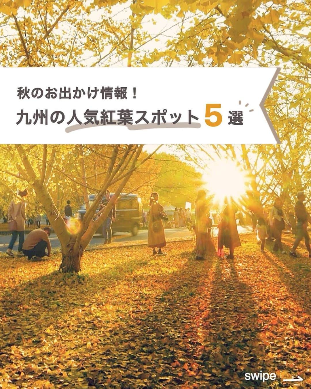 九州電力のインスタグラム：「【秋のお出かけ情報🍂九州の人気紅葉スポット5選✨】  🍁九州の紅葉スポットの中でも特に注目の場所をご紹介します！ . ------------------------------------------ お出かけの参考にぜひ【保存】をしてね🍁 ------------------------------------------ . ～.～. ～ .～ .～ .～ .～ ①📍 宝満宮竈門神社(ほうまんぐうかまどじんじゃ) 福岡県太宰府市内山883 1350年以上の歴史をもつ神社で、境内を彩る紅葉が美しい🍁 もみじ祭り：11月25日（土）・26日（日） ライトアップ：11月18日（土）～11月30日（木） @kamadojinja.official 写真提供：宝満宮竈門神社  ②📍 呑山観音寺（のみやまかんのんじ） 福岡県糟屋郡篠栗町萩尾227-4 高野山真言宗の別格本山。多種多様の木々が紅葉し境内が真っ赤に染まる🍂 紅葉まつり：～11月23日（木） @nomiyama_kannonji_official 写真提供：呑山観音寺  ③ 📍雲仙ロープウェイ 長崎県雲仙市小浜町雲仙551 仁田原峠から妙見岳まで約3分間の空中散歩が楽しめる。約100種類の木々が美しく色づく🚠✨ @unzen_ropeway3572 写真提供：雲仙ロープウェイ株式会社  ④📍寿福寺（じゅふくじ） 長崎県佐世保市江迎町長坂276 紅葉の時期になると色鮮やかな逆さ紅葉が楽しめる🍁 期間：11月15日（水）～11月24日（金） ※期間中は拝観料500円が必要です。 写真提供：（公財）佐世保観光コンベンション協会  ⑤📍太原のイチョウ（たいばるのいちょう） 福岡県八女郡広川町太原地区 約80本のイチョウの木を植栽している。落葉時は黄金色の絨毯が広がる🌟 観覧期間：11月15日(水)～11月26日(日) ※私有地のため適切なマナーのもと、ご観覧をお願いします 写真提供：広川町観光協会 ～.～. ～ .～ .～ .～ .～  ※写真は過去に撮影されたものです。 . お届けする九州の風景が、皆さまの元気や癒しになれば幸いです☘️  #九州電力 #九州 #紅葉 #紅葉狩り #紅葉スポット #国内旅行 #絶景 #九州旅行 #九州観光 #絶景スポット」