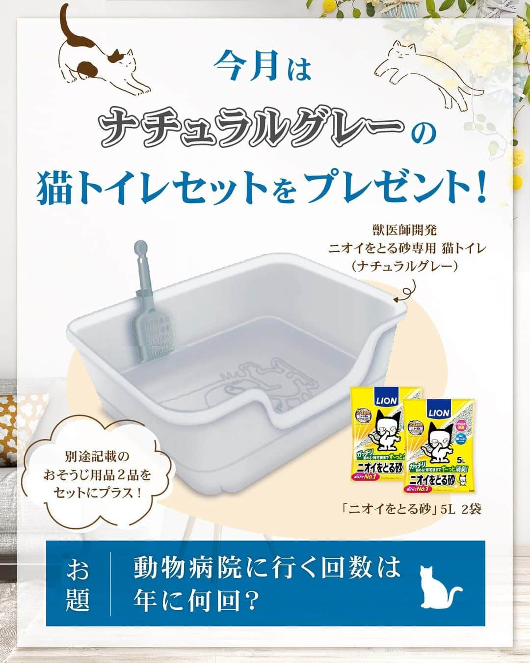 ライオン商事株式会社さんのインスタグラム写真 - (ライオン商事株式会社Instagram)「今月のカラーは『ナチュラルグレー』🩶！ コメント＆フォローで猫トイレセットプレゼント🎁  💡コメントのお題 『猫ちゃんが動物病院に行く回数は年に何回？』  猫はトイレにとてもこだわる動物。 愛猫が喜ぶ快適なトイレ環境を用意してあげることはオーナーの大切な役目です。  『獣医師開発（※）ニオイをとる砂専用猫トイレ』は、 「猫ちゃんとオーナーにとって理想のトイレ環境」を目指した、 固まる猫砂専用の猫トイレです。 ※東京猫医療センターの服部獣医師と当社獣医師の共同開発  今月は、【ナチュラルグレー】のトイレセットをプレゼント！ 猫ちゃんが喜ぶトイレ環境、作ってみませんか？ みなさんからのたくさんのご応募お待ちしております  ■応募期間 2023年11月6日（月）～11月20日（月）  ■応募方法 ①ライオンペット公式アカウント@lion_pet_cat をフォロー！ ②こちらの投稿にあなたの答えをコメントして完了！ 　『猫ちゃんが動物病院に行く回数は年に何回？』  ・ご応募は1アカウント様につき、1回と限らせていただきます ・ストーリーズ投稿は対象外となります  ■当選人数 22名様　  ■プレゼントセット内容 【獣医師開発　ニオイをとる砂専用　猫トイレ ナチュラルグレー】1個 【ニオイをとる砂 5L】2袋 【シュシュット！厚手おそうじシート 猫用】1個 【ニオイをとる砂　ウンチもオシッコも臭わない袋】試供品  ■抽選・当選連絡について 応募いただいた方の中から抽選を行い、 当選者の方へDM連絡をいたします。  ■利用規約 本キャンペーンへ参加される場合は、本応募要項に同意いただいた上でのご応募となります。 応募要項にご同意いただけない場合は、キャンペーンに応募することができません。 また、本キャンペーンへの応募をもって、本応募要項に同意したものとみなします。  ■応募資格 ・日本国内にお住まいの方で、かつ賞品のお届け先が日本国内の方に限らせていただきます。 ・ライオンペット公式Instagramアカウント「@lion_pet_cat」をフォローされている方が対象です。 ※賞品発送時点まで当社アカウントをフォローされている必要があります。 ・キャンペーン期間中に、Instagramのアカウントを保有しており、Instagramアカウントを公開設定にしている方。 ※Instagramアカウントを非公開にしている場合、ツイートを確認することができないため本キャンペーンには参加できません。 ※Instagramアカウントを削除された場合、当選のご連絡を差し上げることができないため本キャンペーンで当選された場合も無効となります。 ・本規約について同意されている方。  ■応募に際する注意事項 ・DMと当選品の発送をもって当選者の発表と代えさせていただきます。 ・非公開アカウントは対象外となりますのでお気を付けください。 ・複数アカウントを使用しての応募は無効となります。 ・投稿を複数行っても応募は１回分のみのカウントとなります。 ・当選品は当選の連絡後2週間以内程度、国内のみの発送です。 ・本キャンペーンにご応募いただくにあたり、応募者はキャンペーンの運用について本アカウントの運用方法に従うものとし、一切異議申立てを行わないものとします。 ・本キャンペーンは予告なく中止、または変更をさせて頂く場合がございます。 ・本キャンペーンは、Meta社・Instagramとは一切関係ありません。 ・イベントは中止となる可能性があります。 ・なりすましアカウントにご注意ください。本キャンペーンの当選者の方には、DMよりご連絡させていただきますが、DM上でクレジットカード情報などの個人情報の入力を促すことはございません。 ※ライオンペット公式アカウントは、青色の認証バッジがついている@lion_pet_cat @lion_pet_dog の2つです。 公式アカウント以外からのフォローや不信なDMを受け取った場合は、 URLのクリックや、個人情報などの入力、返信やフォローは行わないでください。  【個人情報の取扱いについて】 ・当選時にご入力いただきます個人情報は、当選品発送のみに使用し、それ以外の目的では利用いたしません。 本キャンペーンへの応募をもって、個人情報の取扱いに同意したものとみなします。  #ニオイをとる砂 #猫トイレ #ねことくらす #ネコのいる暮らし #猫のいるくらし #ねことの生活 #ねこ #ネコ #猫 #にゃんこ #ニャンコ #ねこ部 #ネコ部 #猫部 #ねこスタグラム #ネコスタグラム #猫スタグラム #ねこのいる生活 #ネコのいる生活 #猫のいる生活 #ねこ好きさんと繋がりたい #ネコ好きさんと繋がりたい #猫好きさんと繋がりたい #猫大好き部 #保護猫 #保護猫と暮らす #ライオンペット #lionpet #lionpetcat」11月6日 17時03分 - lion_pet_cat