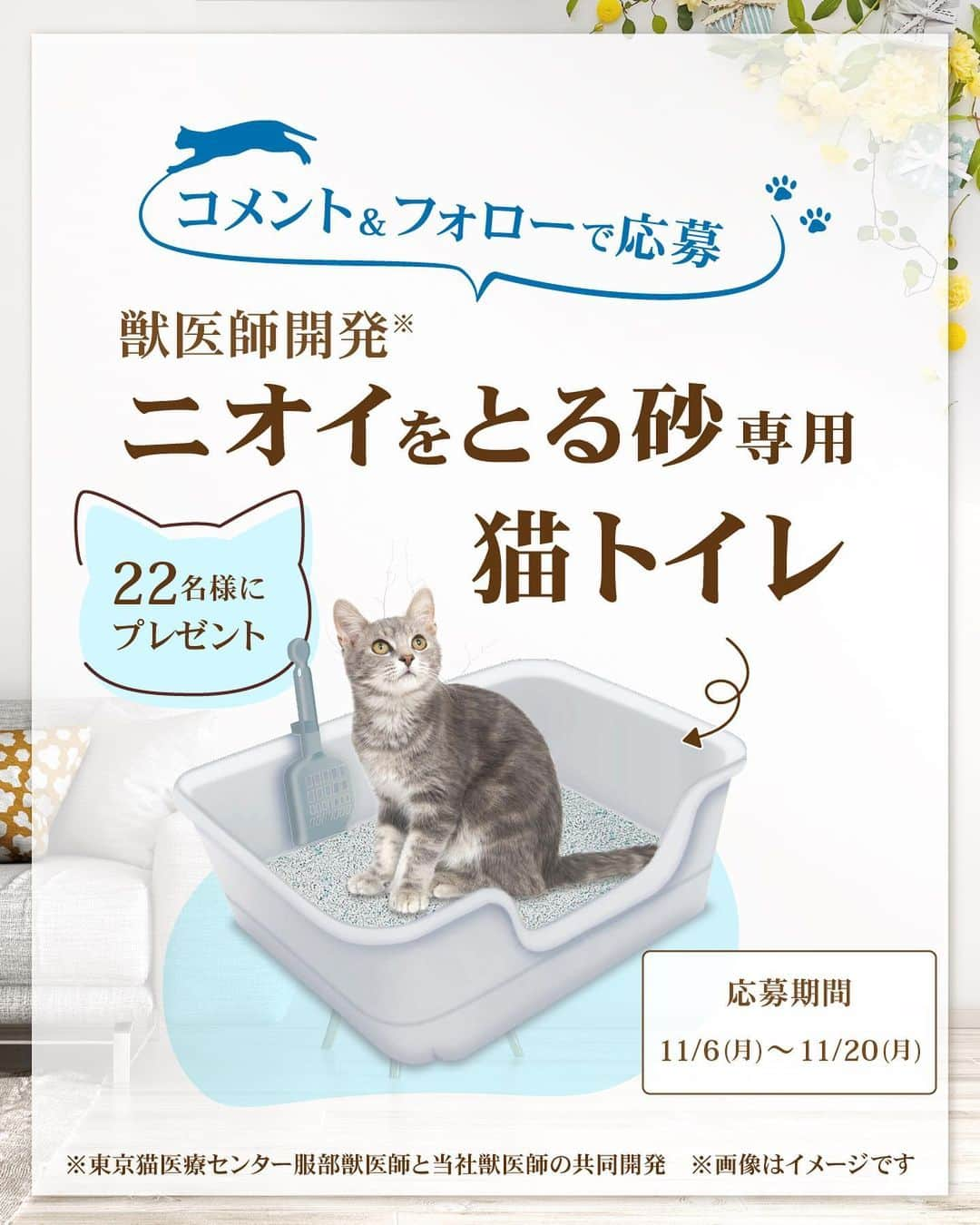 ライオン商事株式会社のインスタグラム：「今月のカラーは『ナチュラルグレー』🩶！ コメント＆フォローで猫トイレセットプレゼント🎁  💡コメントのお題 『猫ちゃんが動物病院に行く回数は年に何回？』  猫はトイレにとてもこだわる動物。 愛猫が喜ぶ快適なトイレ環境を用意してあげることはオーナーの大切な役目です。  『獣医師開発（※）ニオイをとる砂専用猫トイレ』は、 「猫ちゃんとオーナーにとって理想のトイレ環境」を目指した、 固まる猫砂専用の猫トイレです。 ※東京猫医療センターの服部獣医師と当社獣医師の共同開発  今月は、【ナチュラルグレー】のトイレセットをプレゼント！ 猫ちゃんが喜ぶトイレ環境、作ってみませんか？ みなさんからのたくさんのご応募お待ちしております  ■応募期間 2023年11月6日（月）～11月20日（月）  ■応募方法 ①ライオンペット公式アカウント@lion_pet_cat をフォロー！ ②こちらの投稿にあなたの答えをコメントして完了！ 　『猫ちゃんが動物病院に行く回数は年に何回？』  ・ご応募は1アカウント様につき、1回と限らせていただきます ・ストーリーズ投稿は対象外となります  ■当選人数 22名様　  ■プレゼントセット内容 【獣医師開発　ニオイをとる砂専用　猫トイレ ナチュラルグレー】1個 【ニオイをとる砂 5L】2袋 【シュシュット！厚手おそうじシート 猫用】1個 【ニオイをとる砂　ウンチもオシッコも臭わない袋】試供品  ■抽選・当選連絡について 応募いただいた方の中から抽選を行い、 当選者の方へDM連絡をいたします。  ■利用規約 本キャンペーンへ参加される場合は、本応募要項に同意いただいた上でのご応募となります。 応募要項にご同意いただけない場合は、キャンペーンに応募することができません。 また、本キャンペーンへの応募をもって、本応募要項に同意したものとみなします。  ■応募資格 ・日本国内にお住まいの方で、かつ賞品のお届け先が日本国内の方に限らせていただきます。 ・ライオンペット公式Instagramアカウント「@lion_pet_cat」をフォローされている方が対象です。 ※賞品発送時点まで当社アカウントをフォローされている必要があります。 ・キャンペーン期間中に、Instagramのアカウントを保有しており、Instagramアカウントを公開設定にしている方。 ※Instagramアカウントを非公開にしている場合、ツイートを確認することができないため本キャンペーンには参加できません。 ※Instagramアカウントを削除された場合、当選のご連絡を差し上げることができないため本キャンペーンで当選された場合も無効となります。 ・本規約について同意されている方。  ■応募に際する注意事項 ・DMと当選品の発送をもって当選者の発表と代えさせていただきます。 ・非公開アカウントは対象外となりますのでお気を付けください。 ・複数アカウントを使用しての応募は無効となります。 ・投稿を複数行っても応募は１回分のみのカウントとなります。 ・当選品は当選の連絡後2週間以内程度、国内のみの発送です。 ・本キャンペーンにご応募いただくにあたり、応募者はキャンペーンの運用について本アカウントの運用方法に従うものとし、一切異議申立てを行わないものとします。 ・本キャンペーンは予告なく中止、または変更をさせて頂く場合がございます。 ・本キャンペーンは、Meta社・Instagramとは一切関係ありません。 ・イベントは中止となる可能性があります。 ・なりすましアカウントにご注意ください。本キャンペーンの当選者の方には、DMよりご連絡させていただきますが、DM上でクレジットカード情報などの個人情報の入力を促すことはございません。 ※ライオンペット公式アカウントは、青色の認証バッジがついている@lion_pet_cat @lion_pet_dog の2つです。 公式アカウント以外からのフォローや不信なDMを受け取った場合は、 URLのクリックや、個人情報などの入力、返信やフォローは行わないでください。  【個人情報の取扱いについて】 ・当選時にご入力いただきます個人情報は、当選品発送のみに使用し、それ以外の目的では利用いたしません。 本キャンペーンへの応募をもって、個人情報の取扱いに同意したものとみなします。  #ニオイをとる砂 #猫トイレ #ねことくらす #ネコのいる暮らし #猫のいるくらし #ねことの生活 #ねこ #ネコ #猫 #にゃんこ #ニャンコ #ねこ部 #ネコ部 #猫部 #ねこスタグラム #ネコスタグラム #猫スタグラム #ねこのいる生活 #ネコのいる生活 #猫のいる生活 #ねこ好きさんと繋がりたい #ネコ好きさんと繋がりたい #猫好きさんと繋がりたい #猫大好き部 #保護猫 #保護猫と暮らす #ライオンペット #lionpet #lionpetcat」