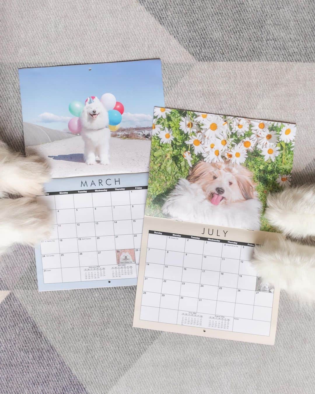 Loki the Corgiさんのインスタグラム写真 - (Loki the CorgiInstagram)「Our 2024 calendars are here and almost ready to ship out! Thank you all for your patience - we can't wait for everyone to see the calendar ❤️ www.lokiandfriends.com/calendar (link in bio)」11月6日 23時35分 - lokistagram